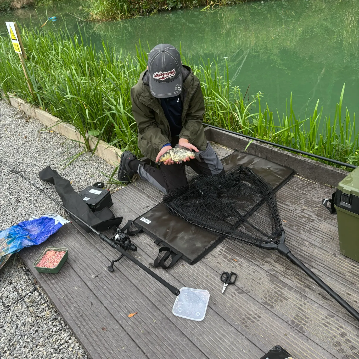 Mirror carp caught on Fishbrain
