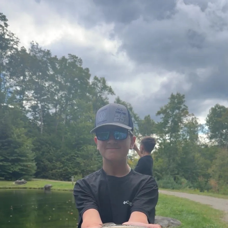 Rainbow trout caught on Fishbrain