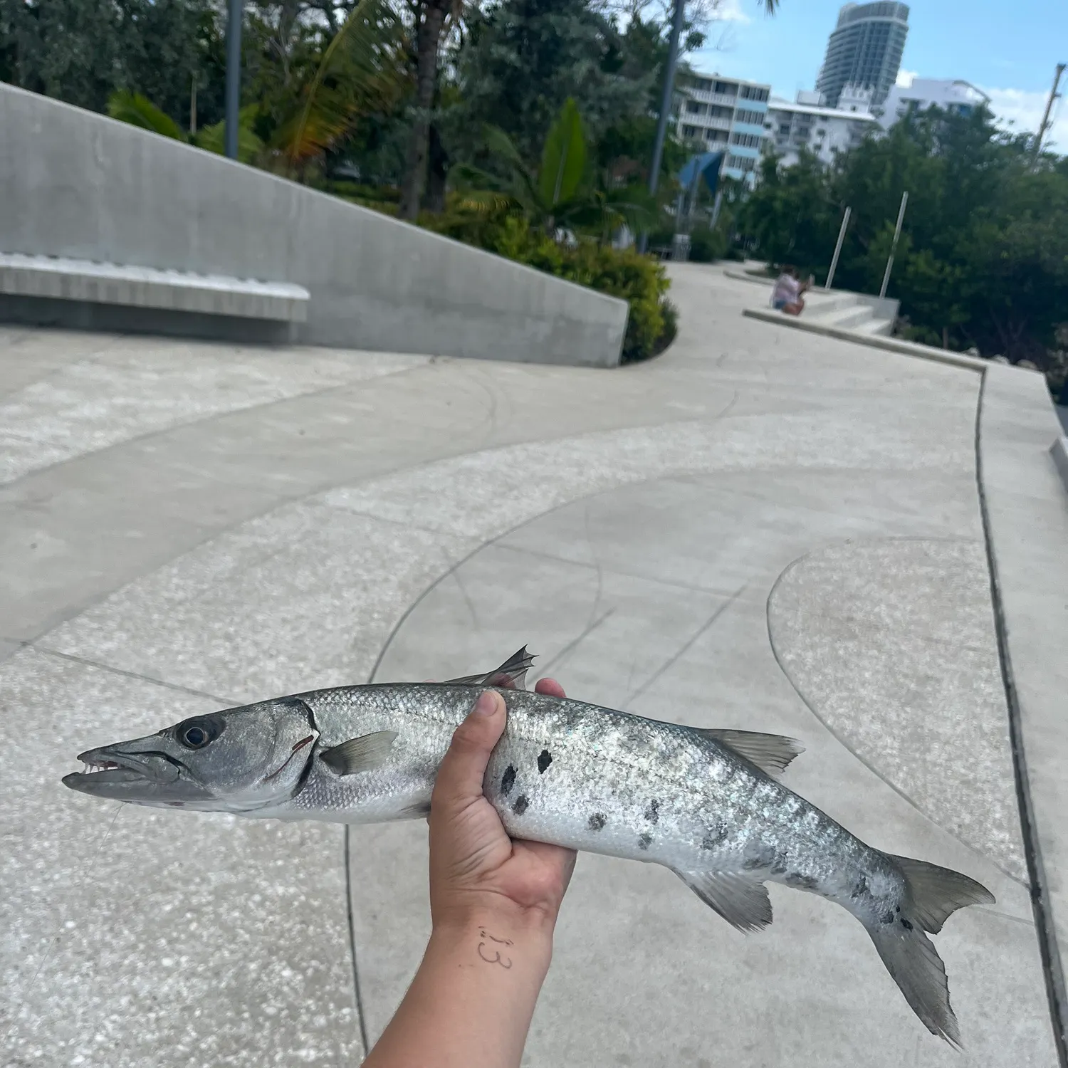 catch