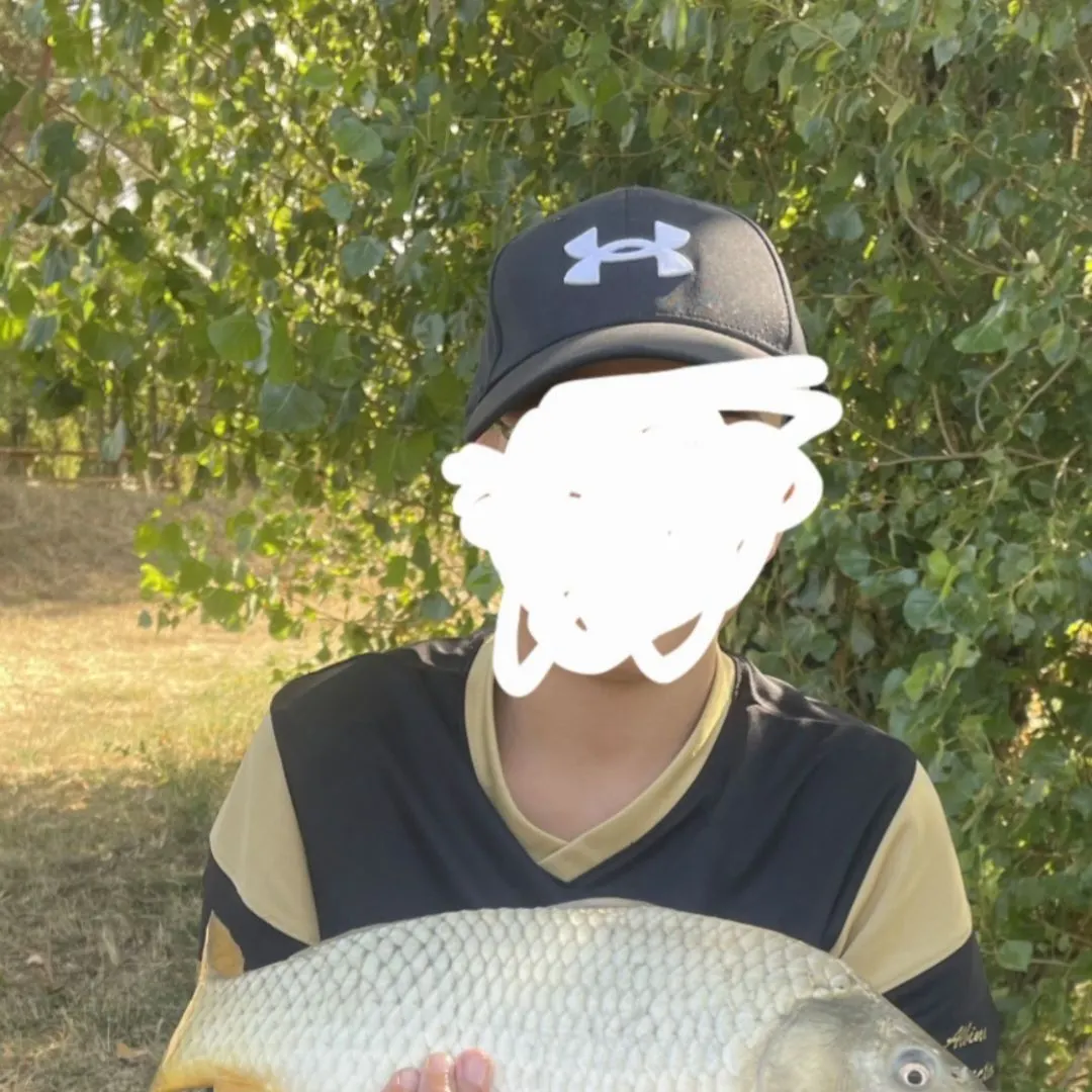 Common carp caught on Fishbrain