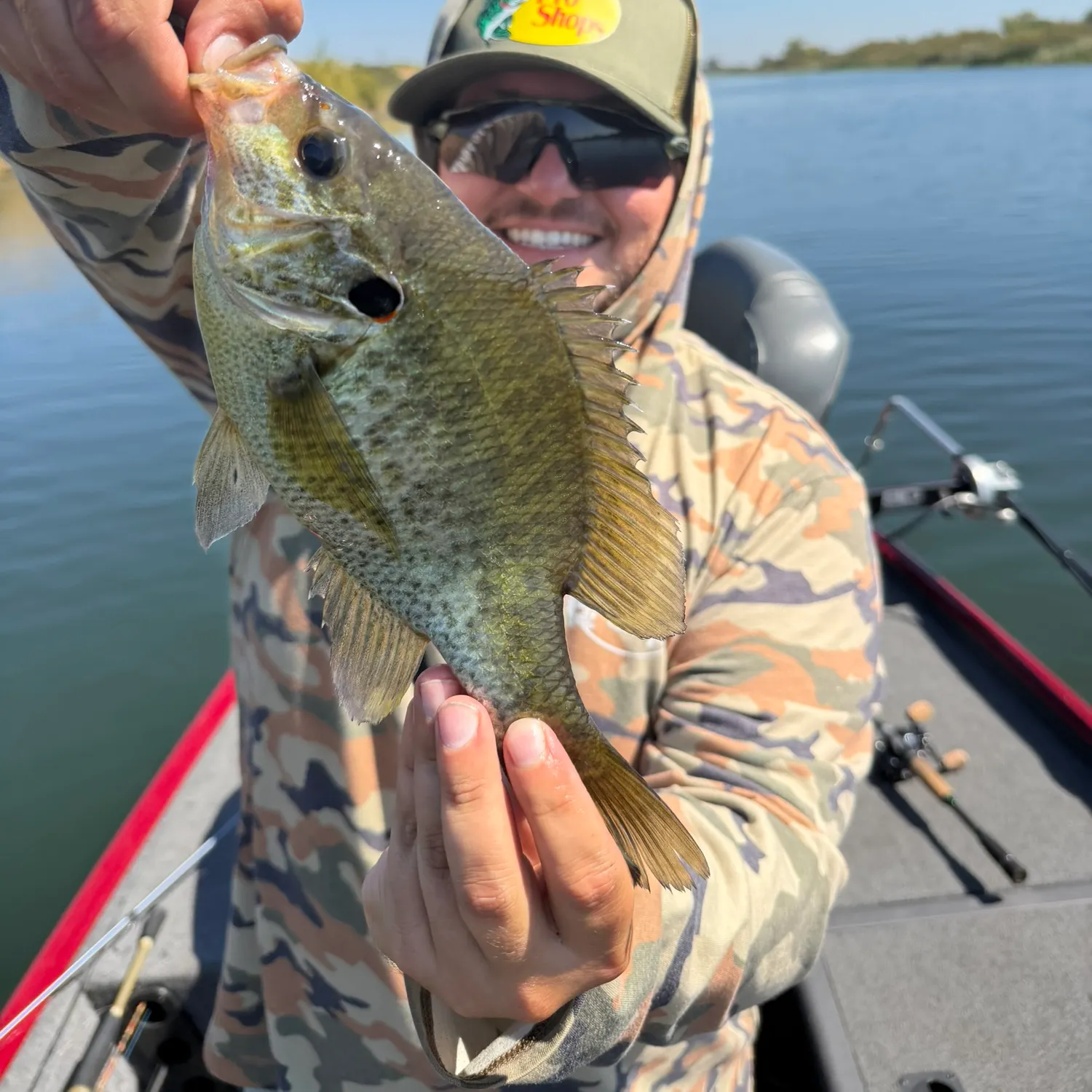 Redear sunfish caught on Fishbrain