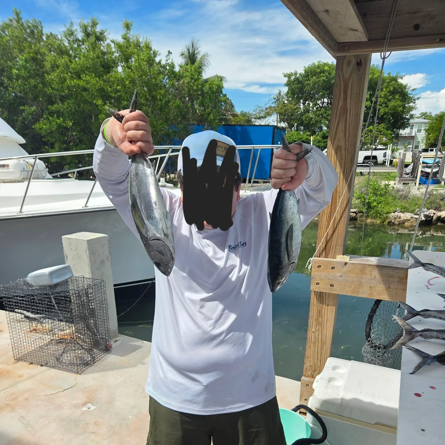 The most recent Blackfin tuna catches on Fishbrain