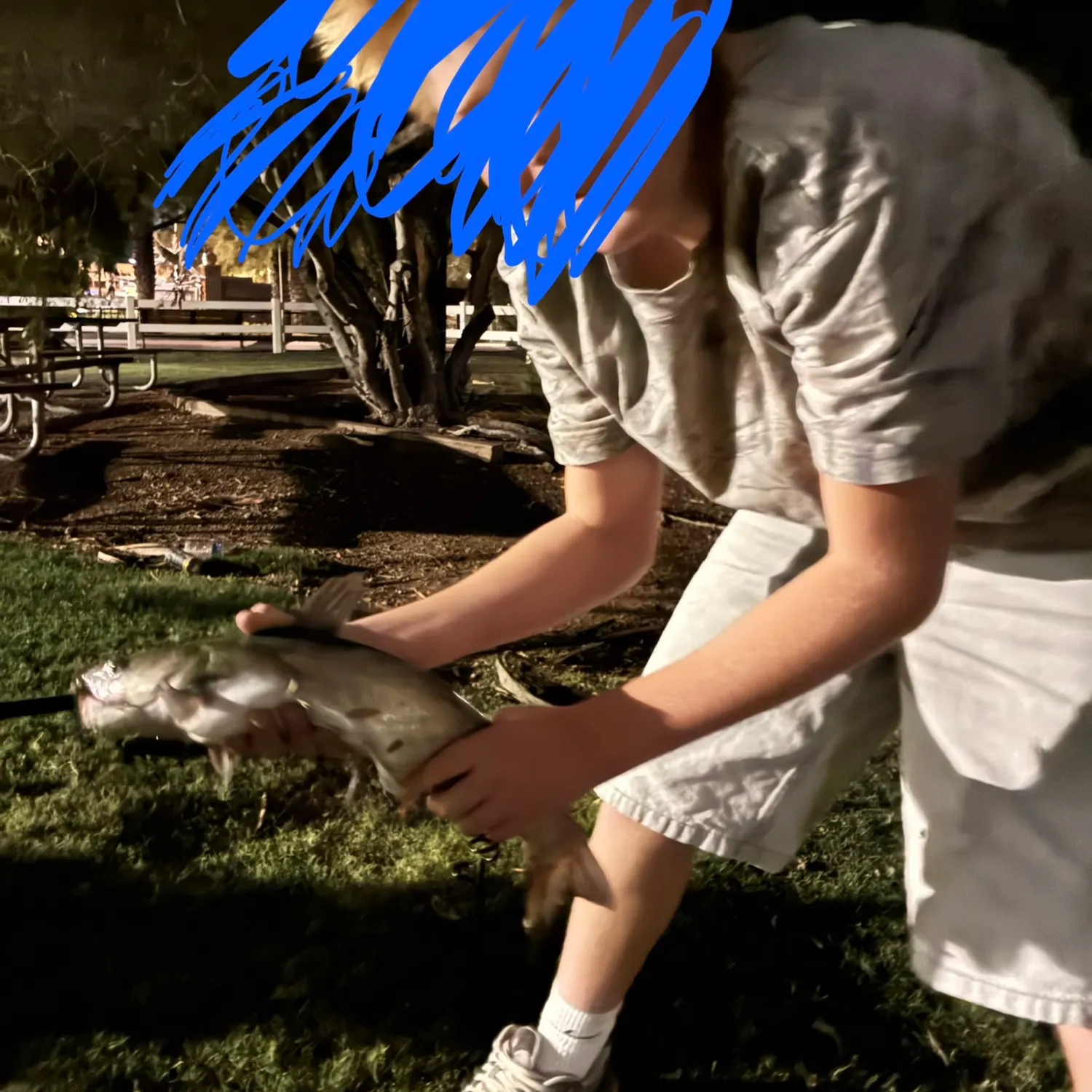 Channel catfish caught on Fishbrain