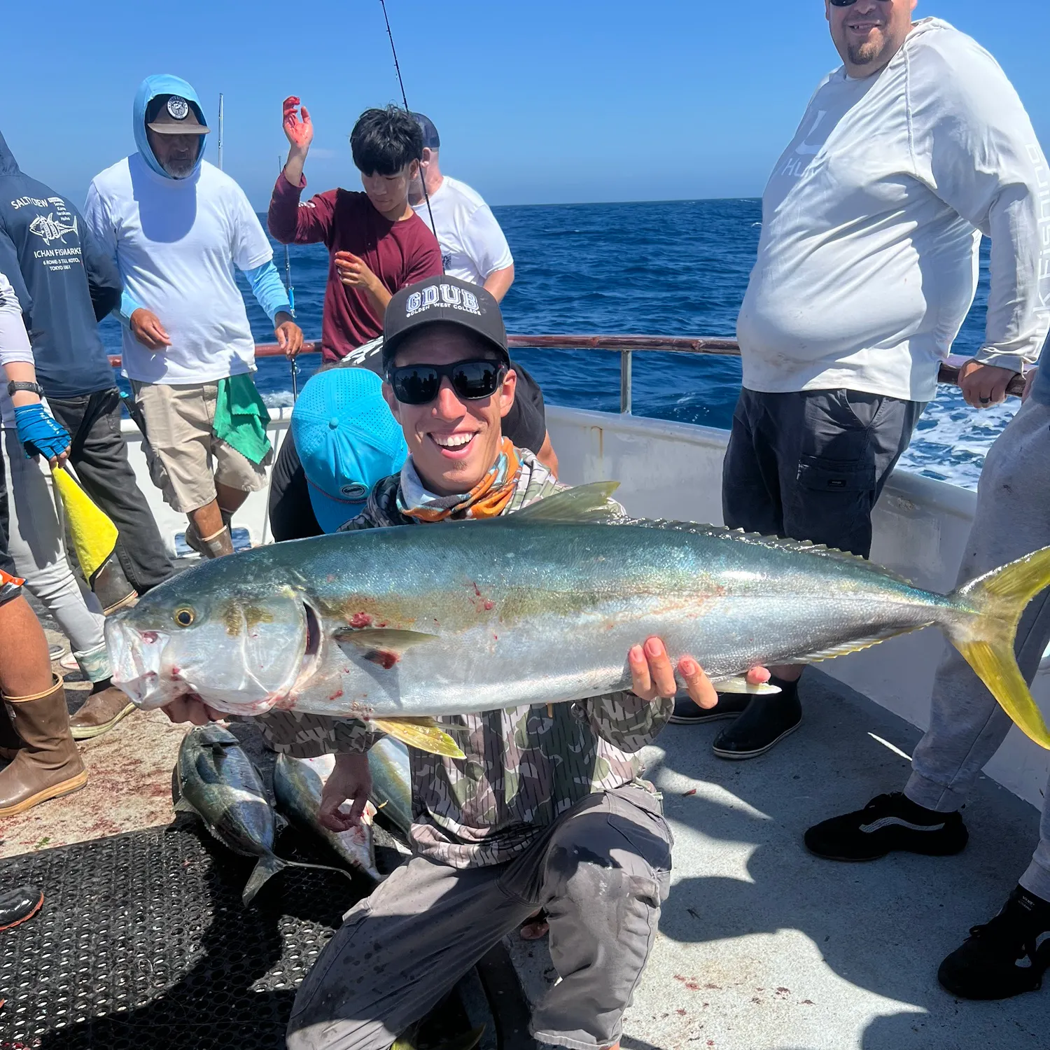 California yellowtail amberjack caught on Fishbrain