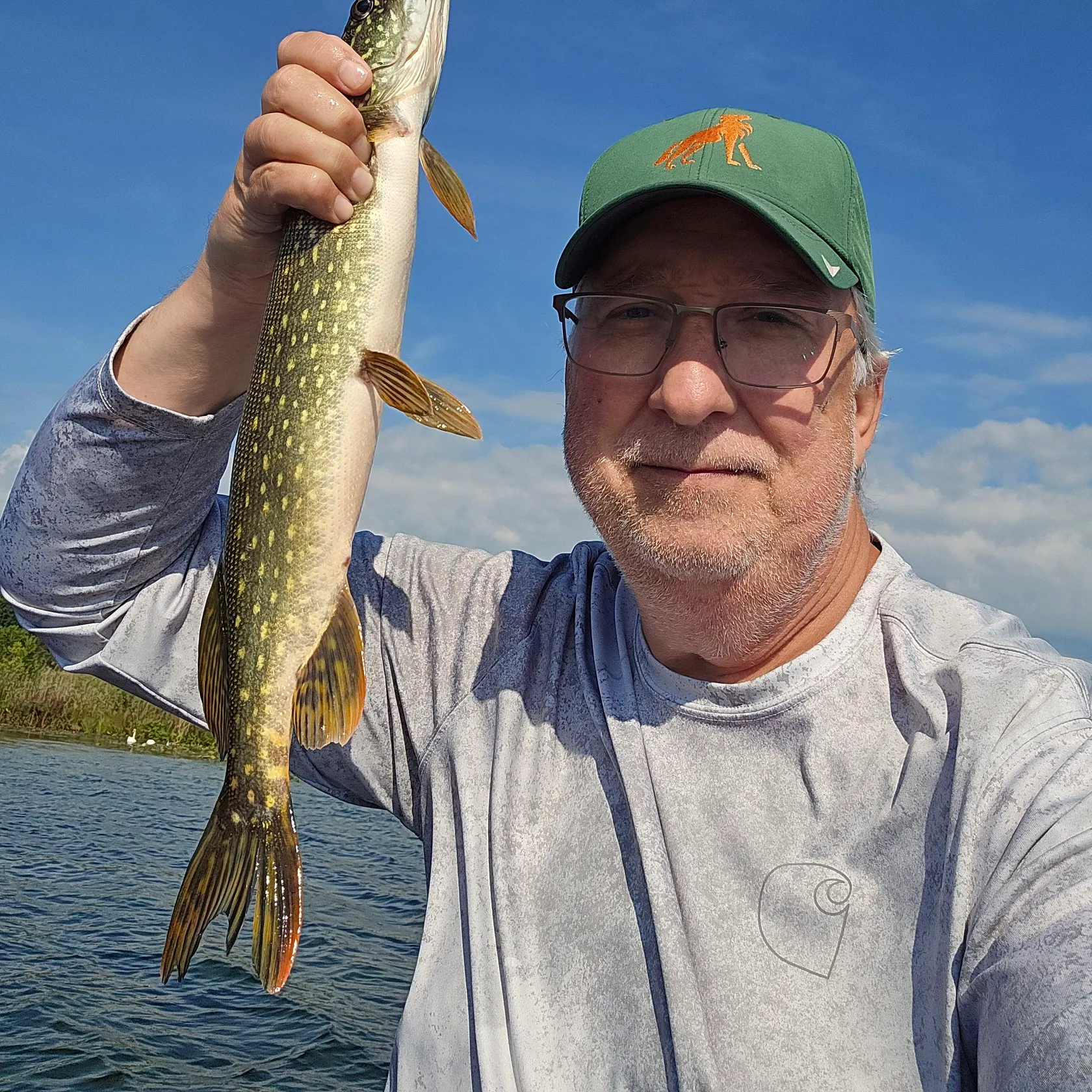 Northern pike caught on Fishbrain