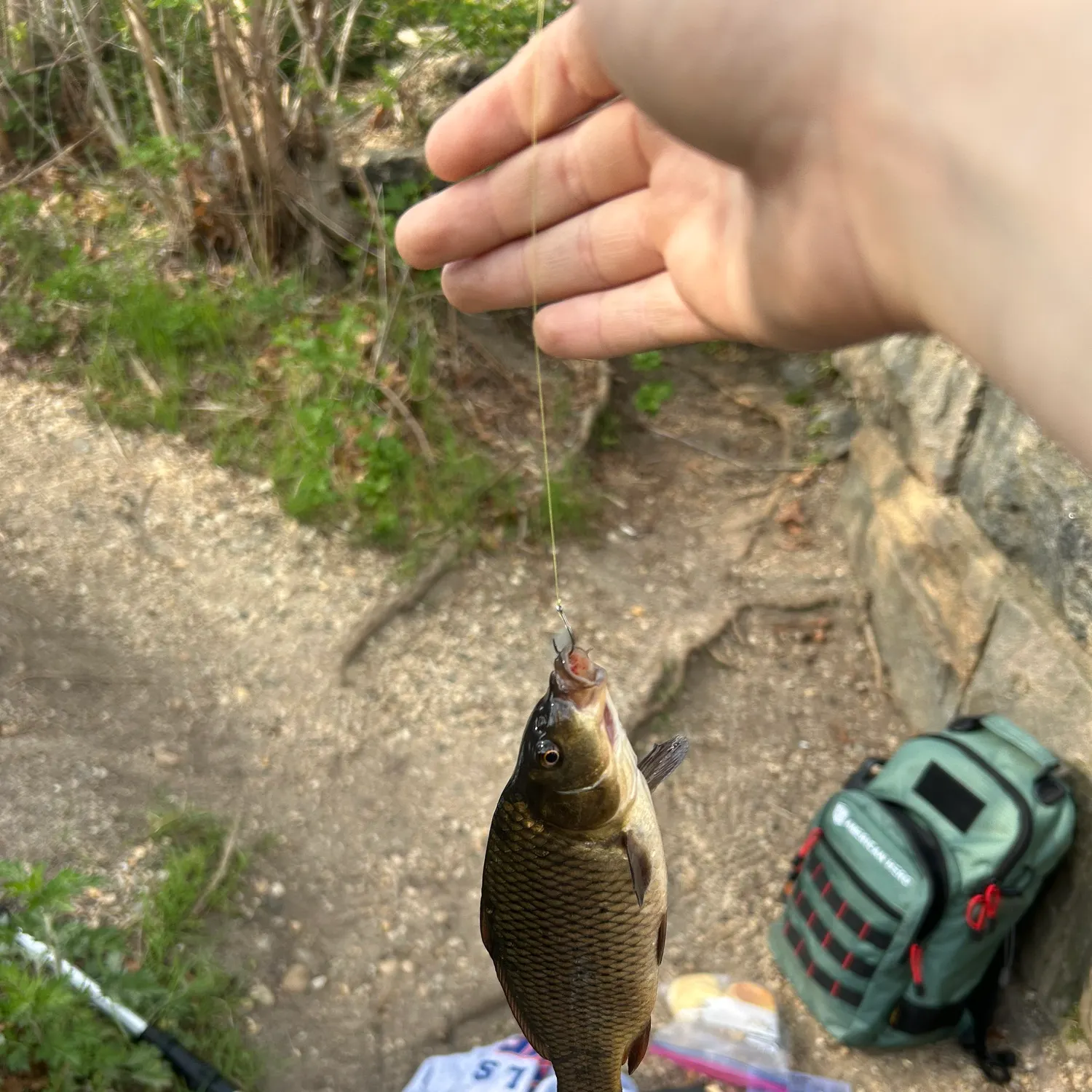 catch