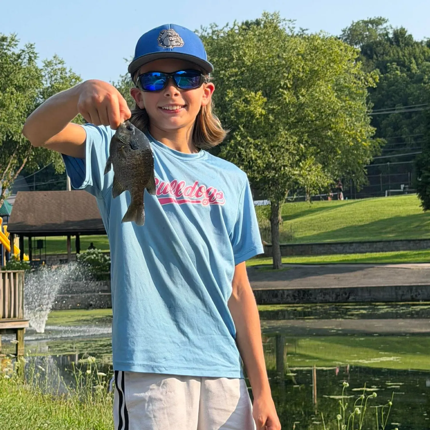 Bluegill caught on Fishbrain