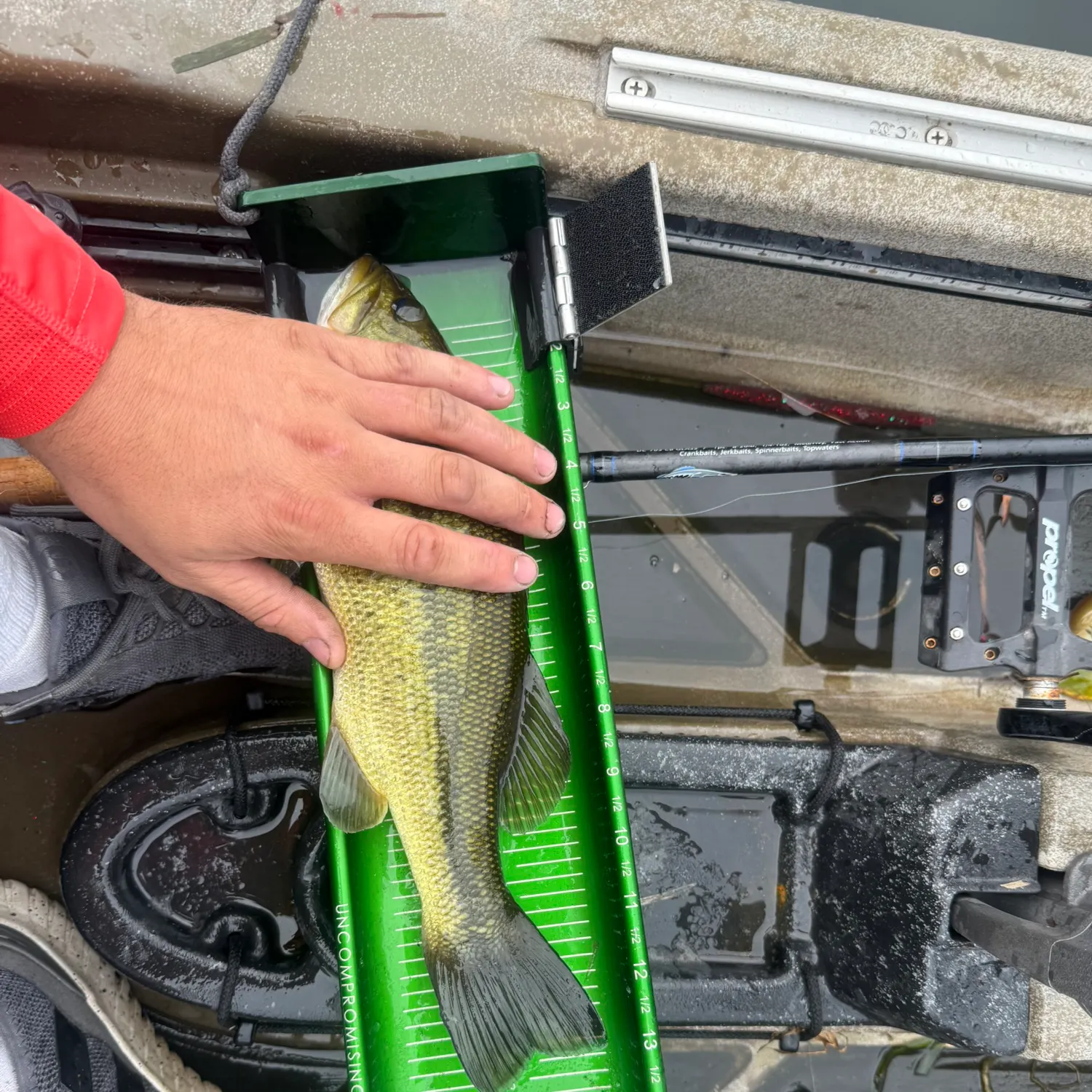 Largemouth bass caught on Fishbrain