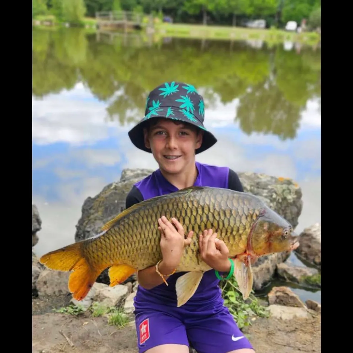 Common carp caught on Fishbrain