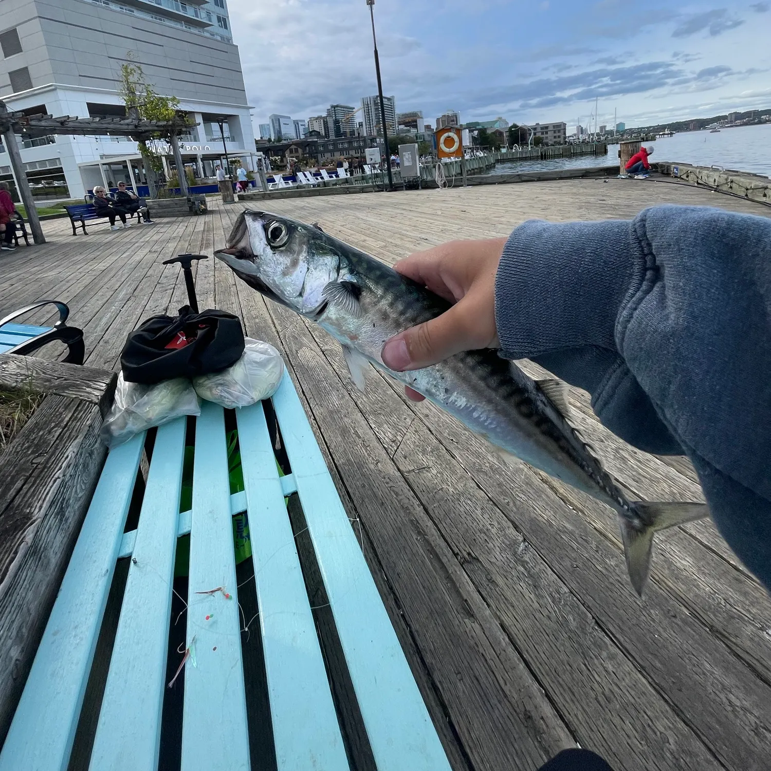 catch
