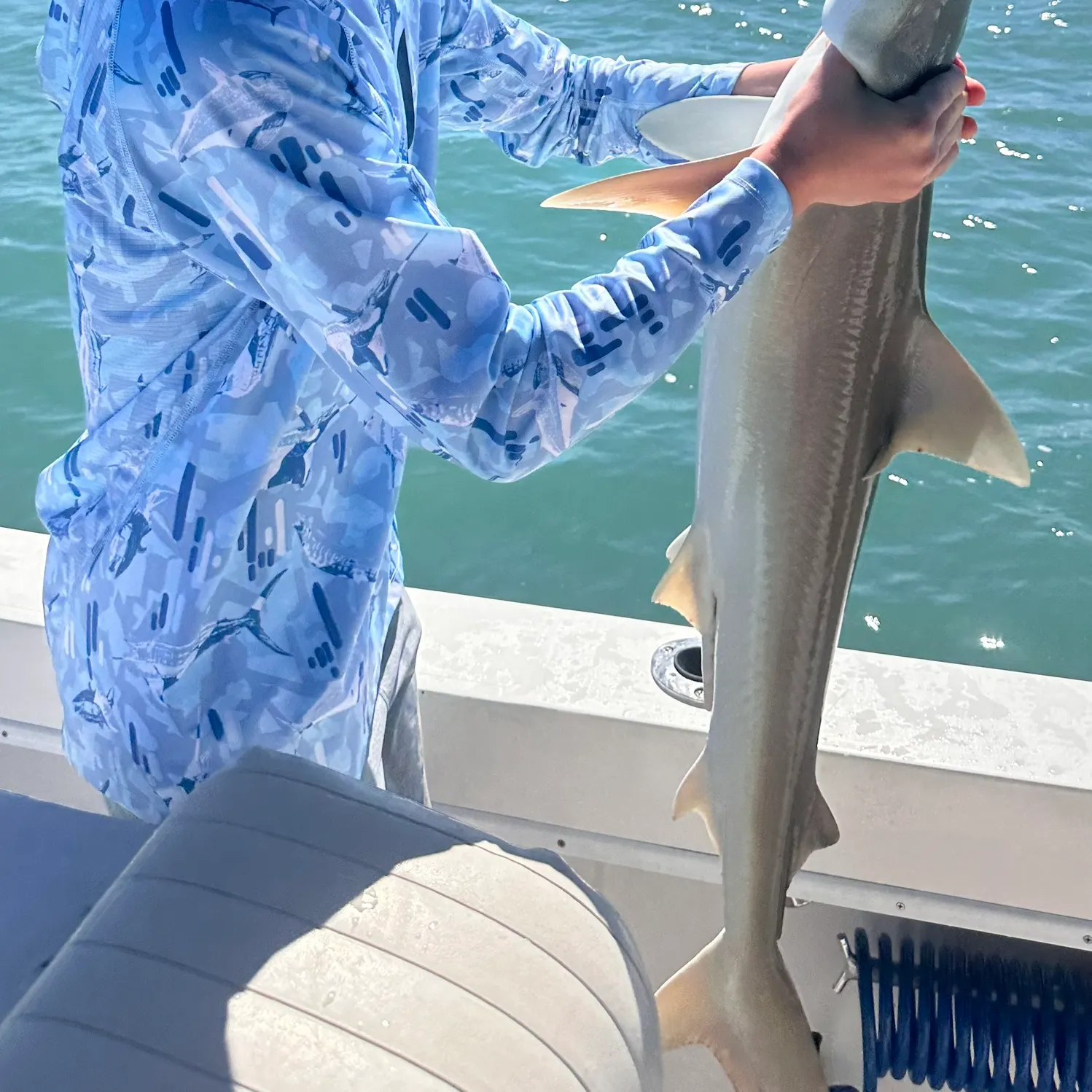 The most recent Blacknose shark catches on Fishbrain