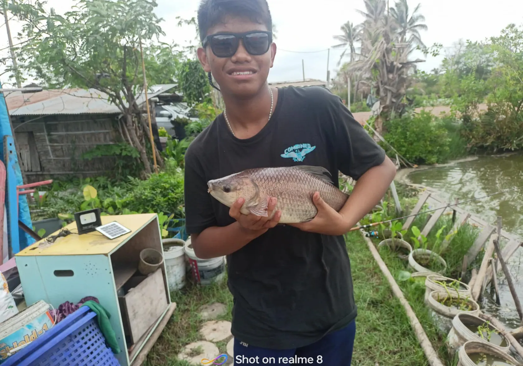 Rohu carp