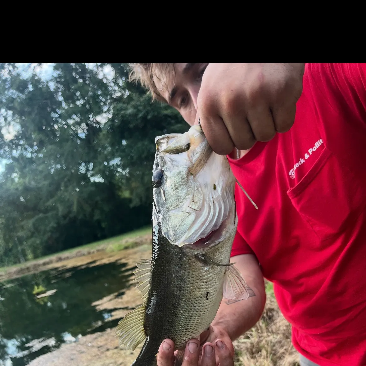 Largemouth bass caught on Fishbrain