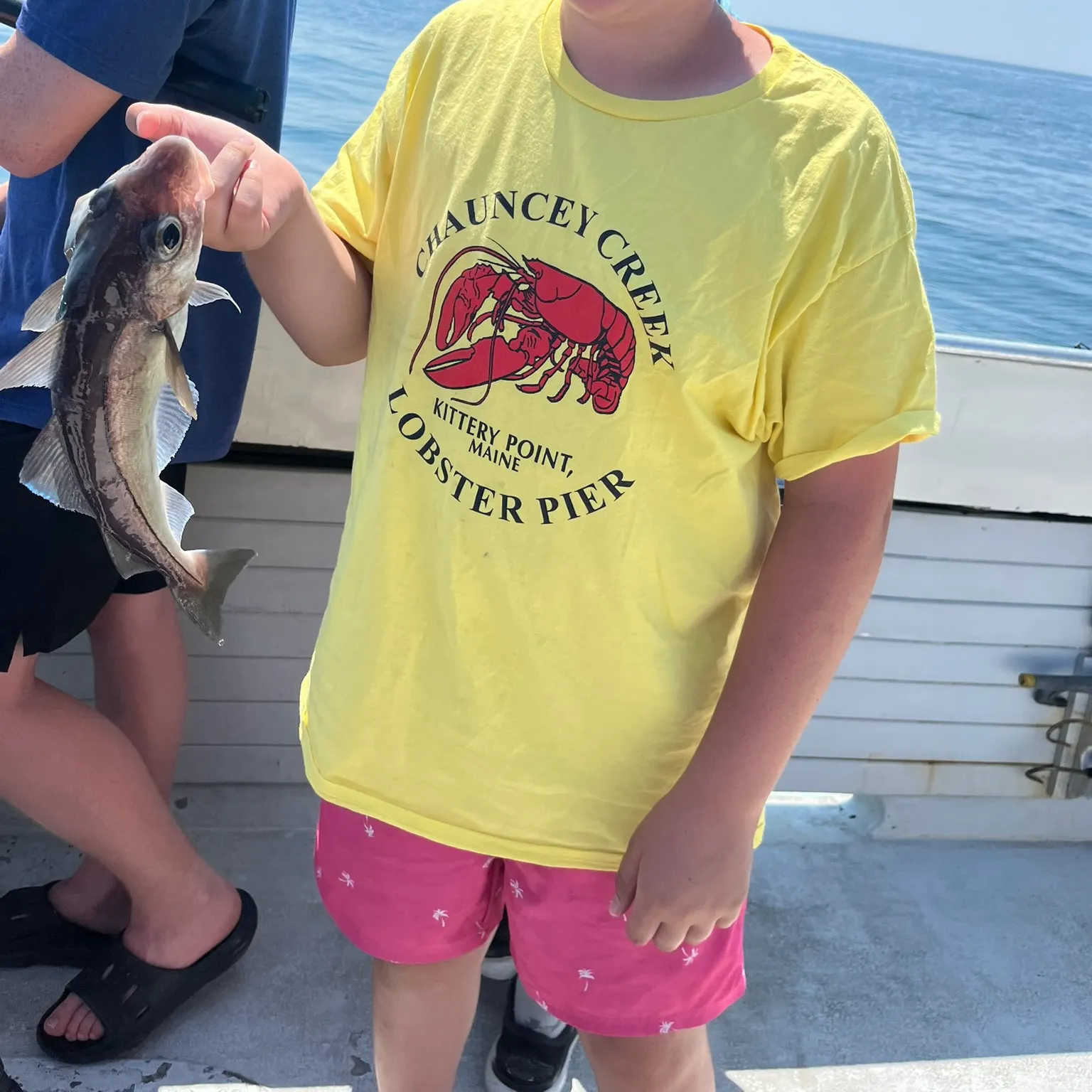 The most recent Haddock catches on Fishbrain