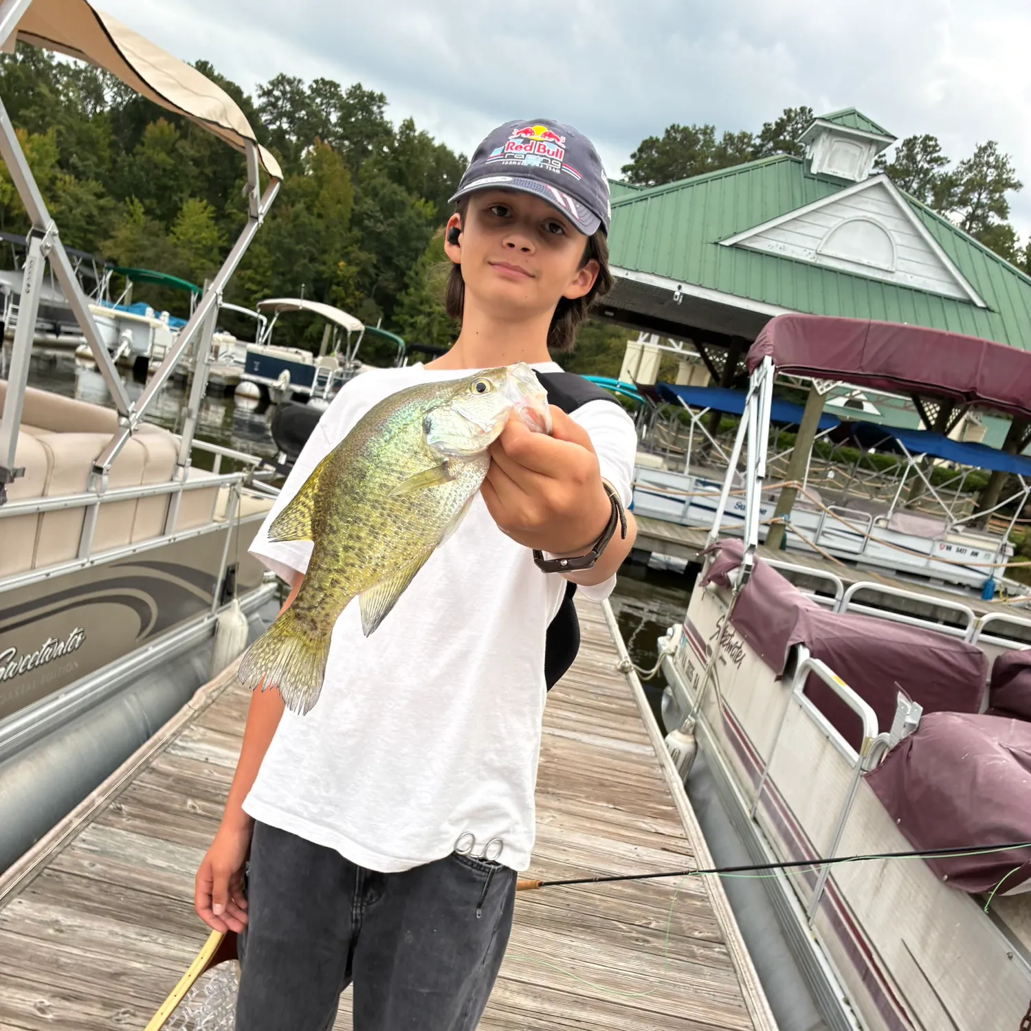 White crappie caught on Fishbrain