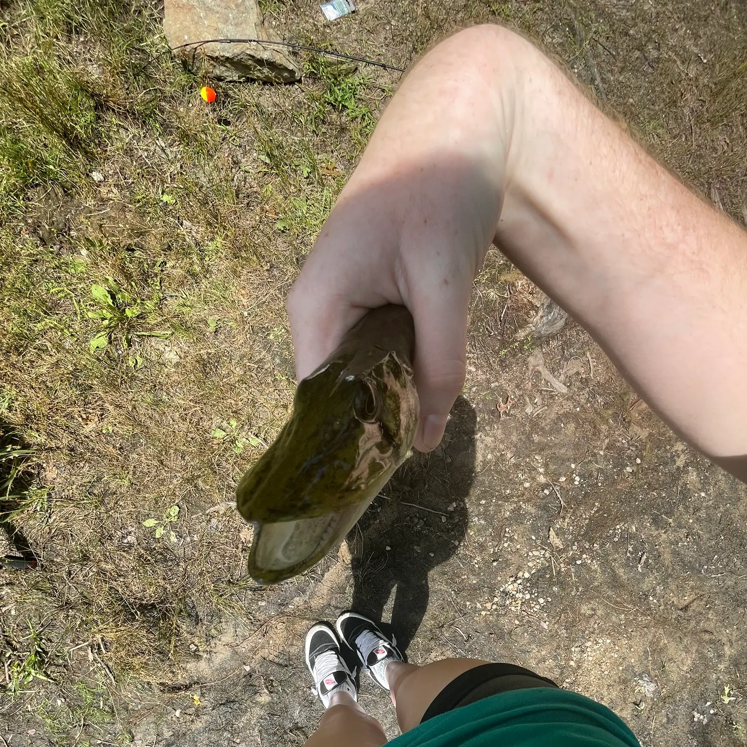 catch