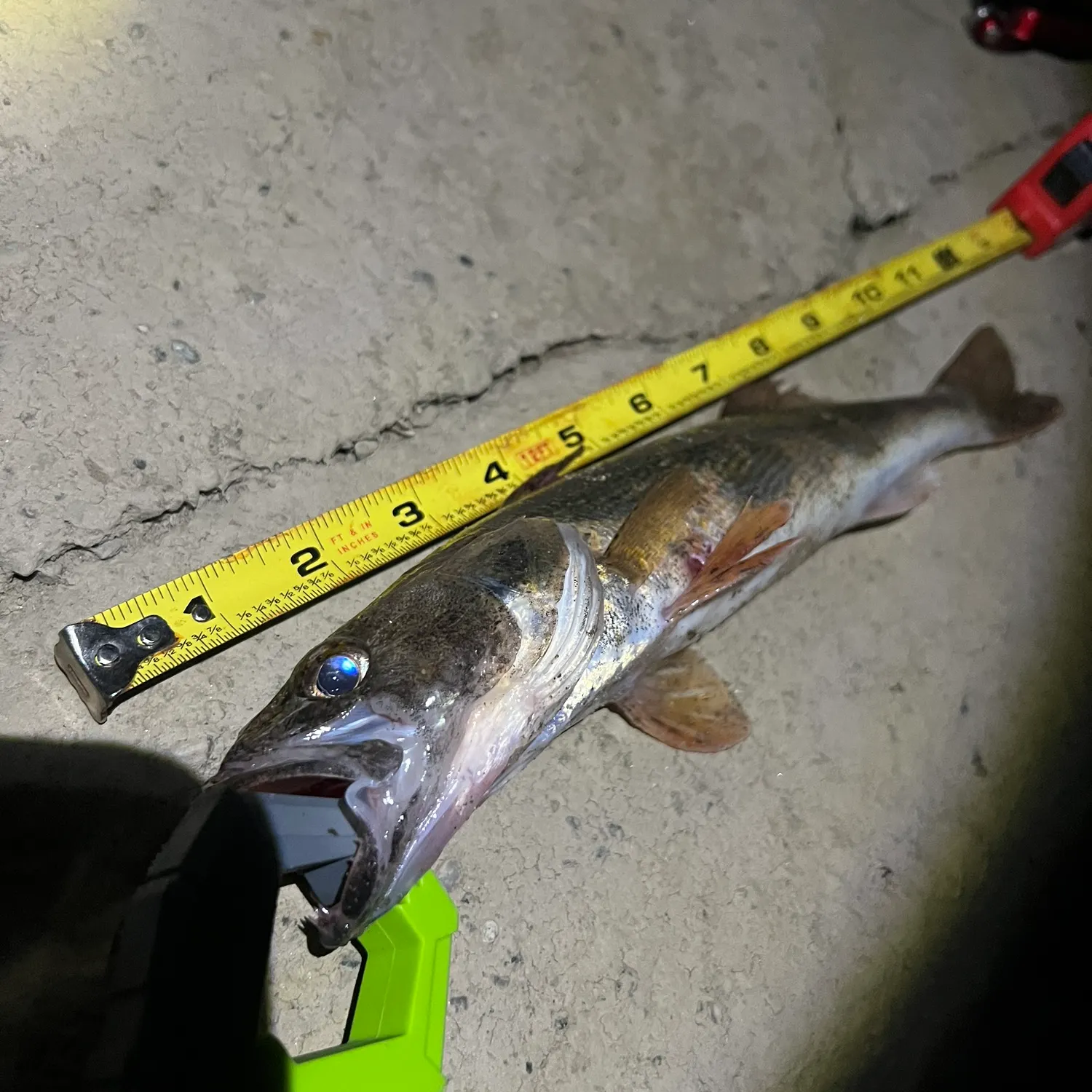 catch