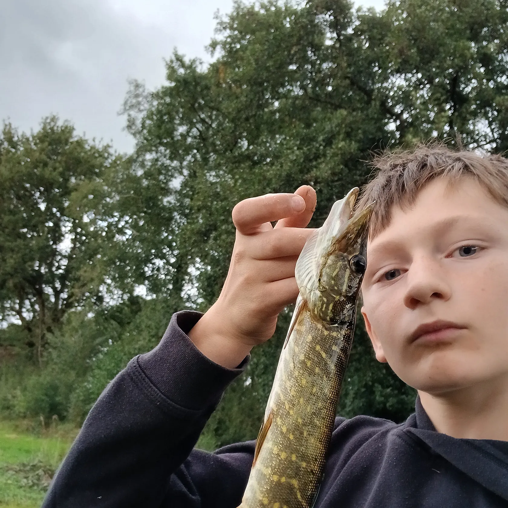 Northern pike caught on Fishbrain