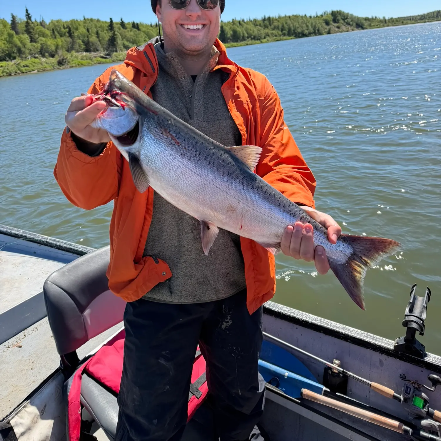 Chinook salmon caught on Fishbrain