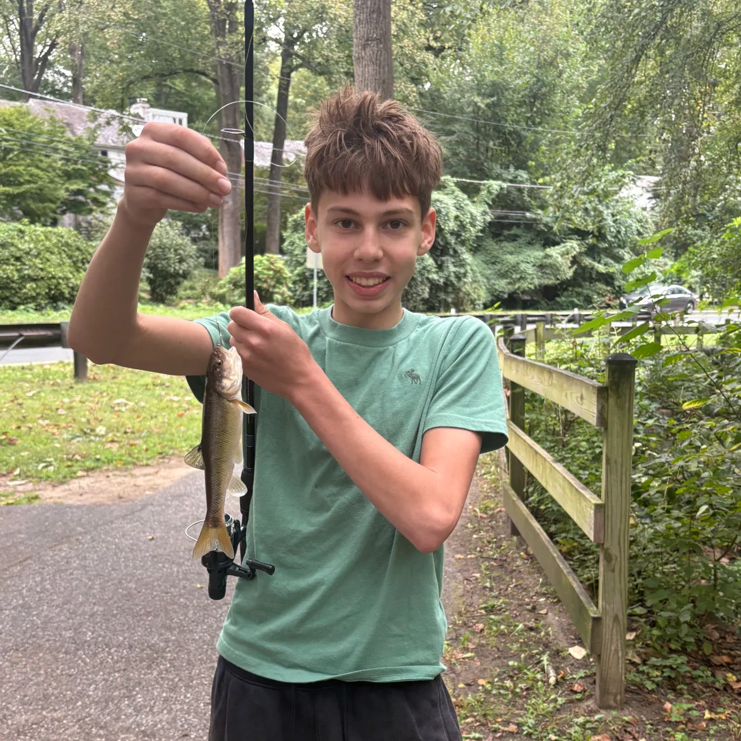 Creek chub caught on Fishbrain