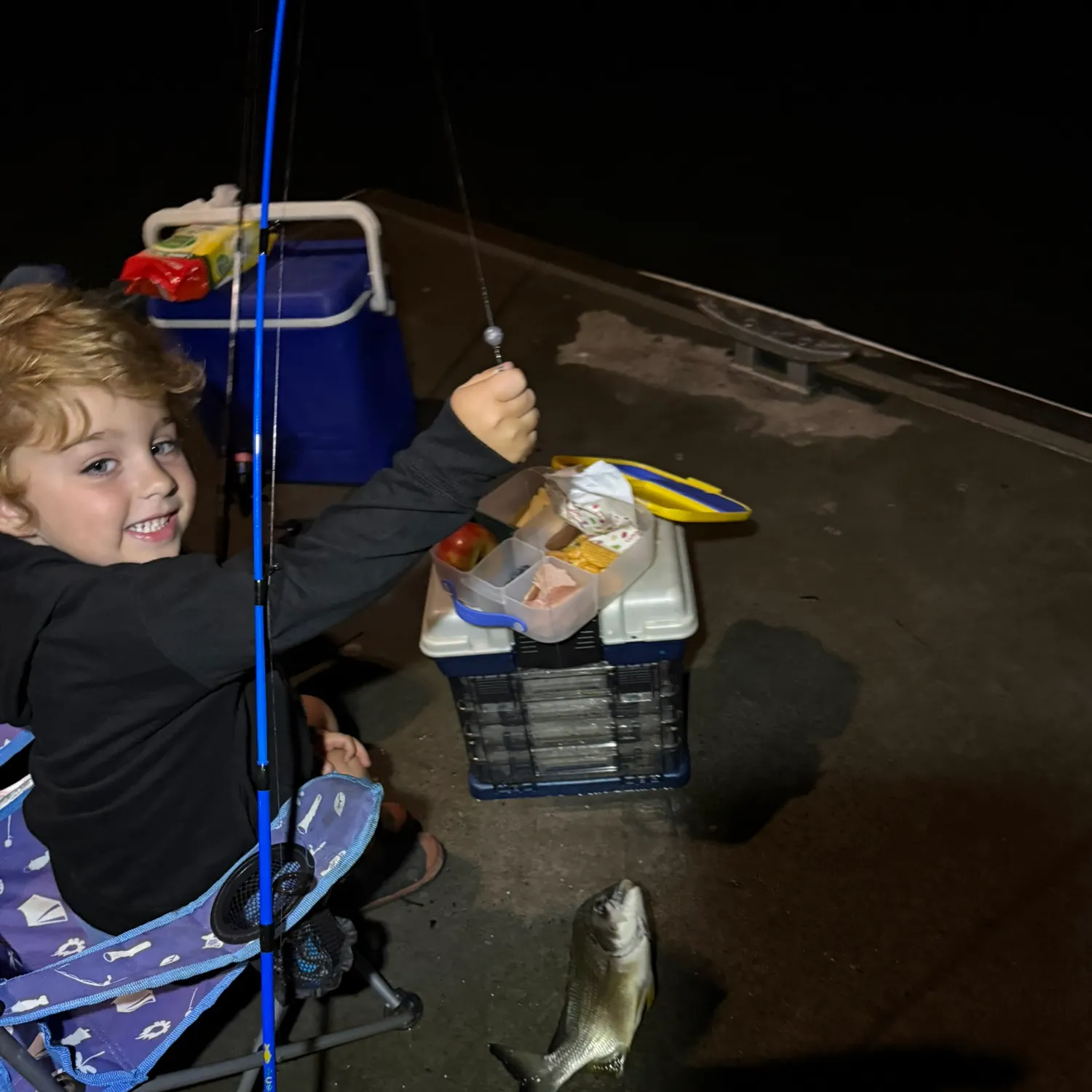 The most recent Surf bream catches on Fishbrain