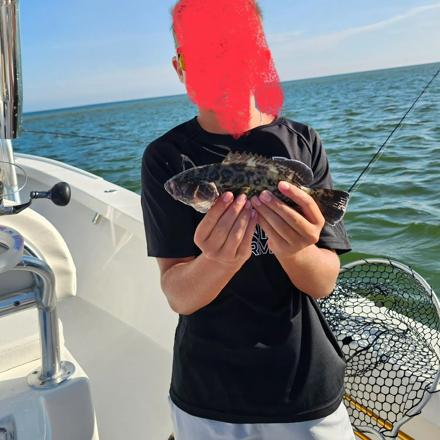 The most recent Black grouper catches on Fishbrain