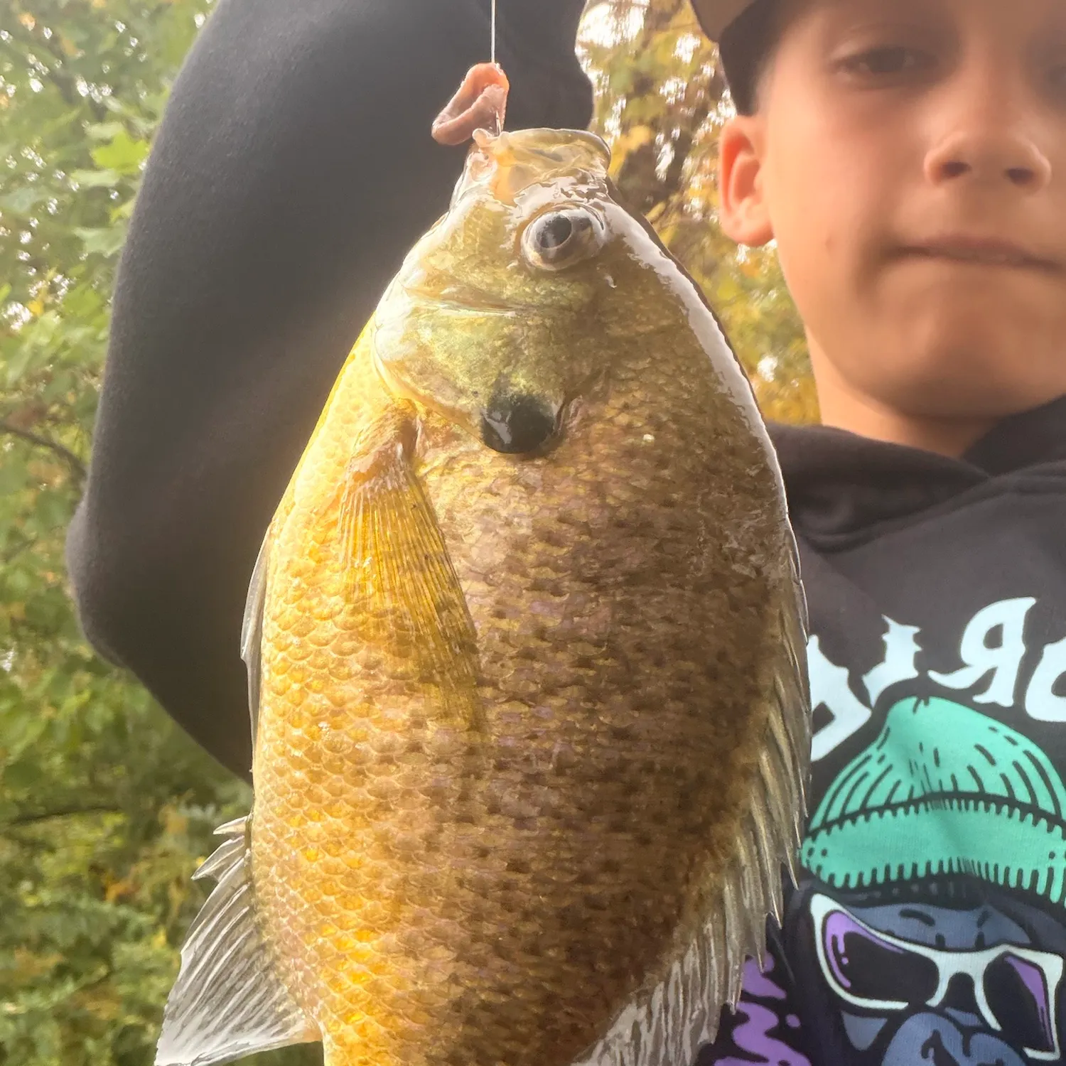 Green sunfish caught on Fishbrain