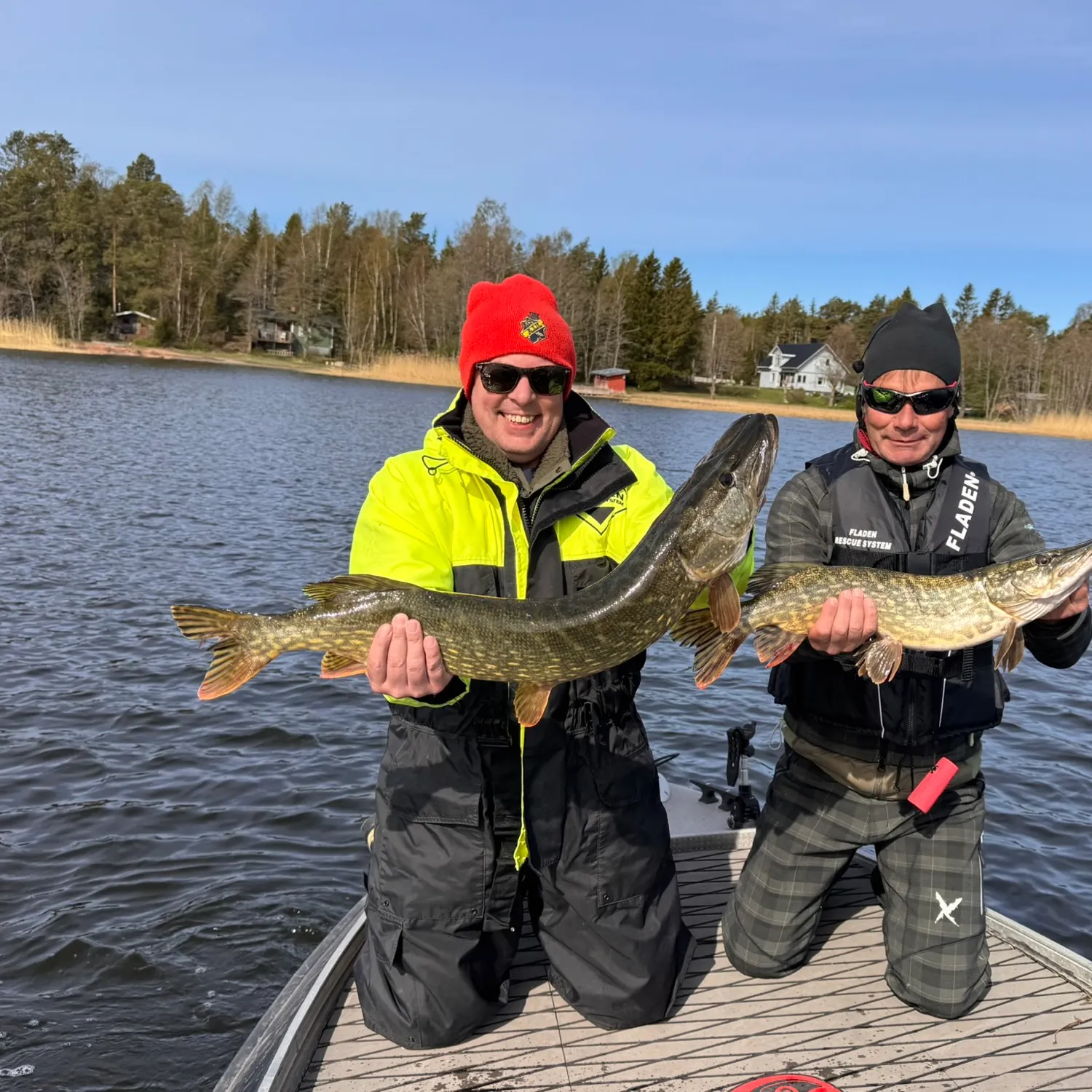 Northern pike caught on Fishbrain