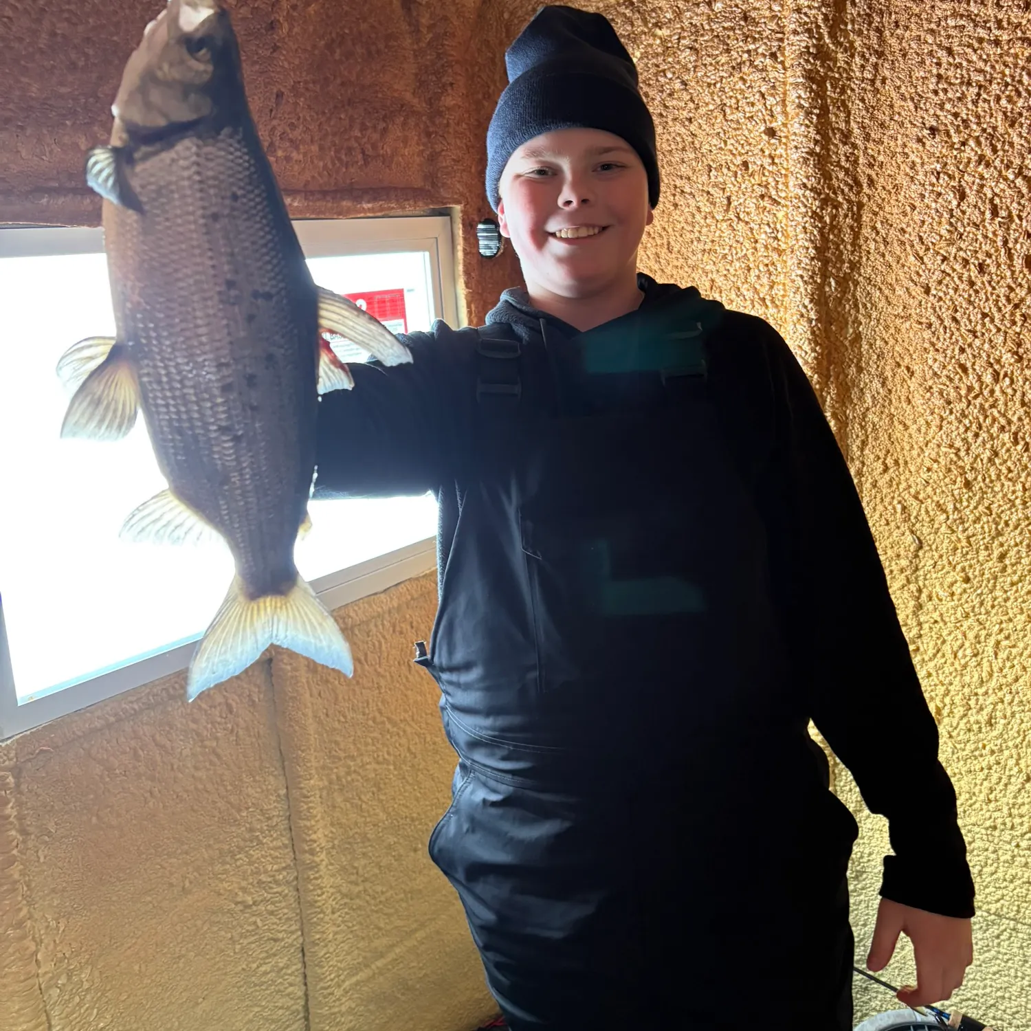 The most recent Lake whitefish catches on Fishbrain