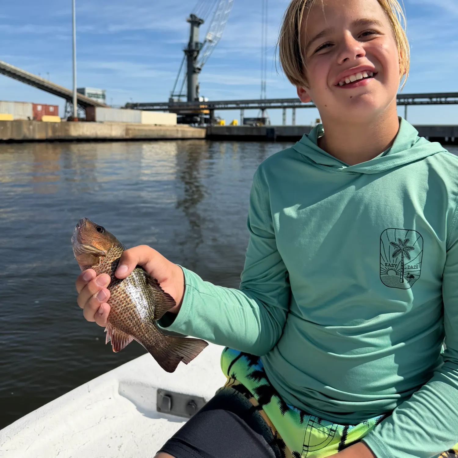 Mangrove snapper caught on Fishbrain