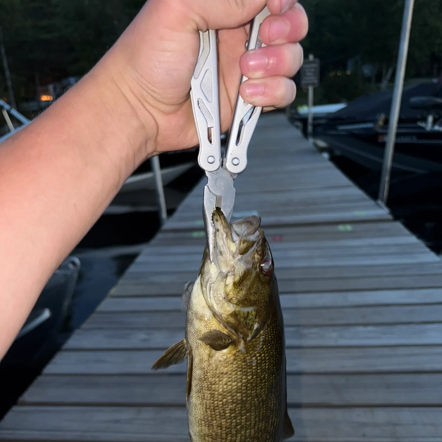 catch