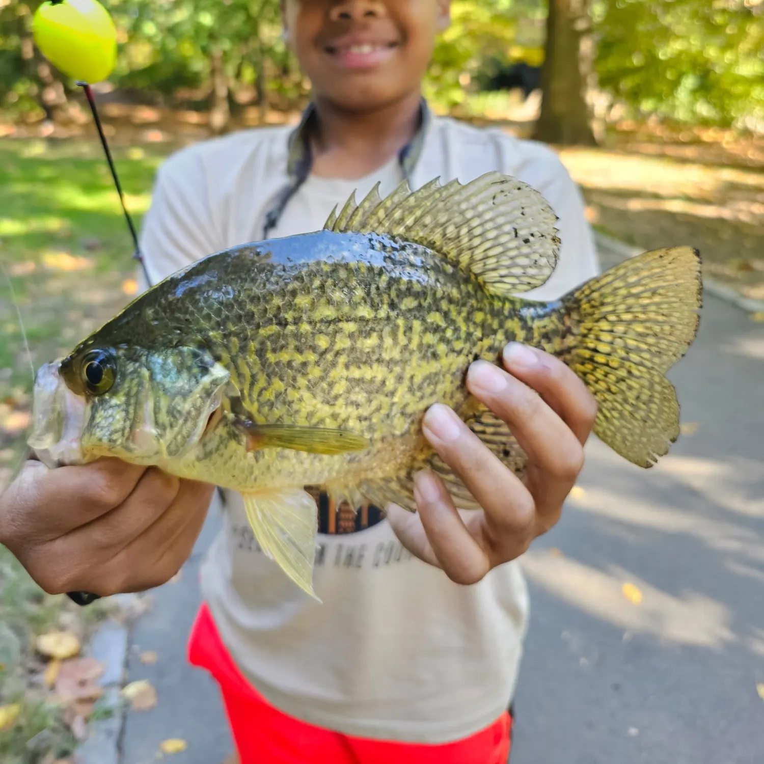 Black crappie caught on Fishbrain