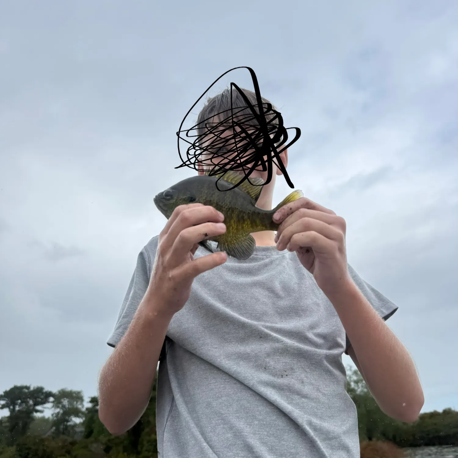 Bluegill caught on Fishbrain