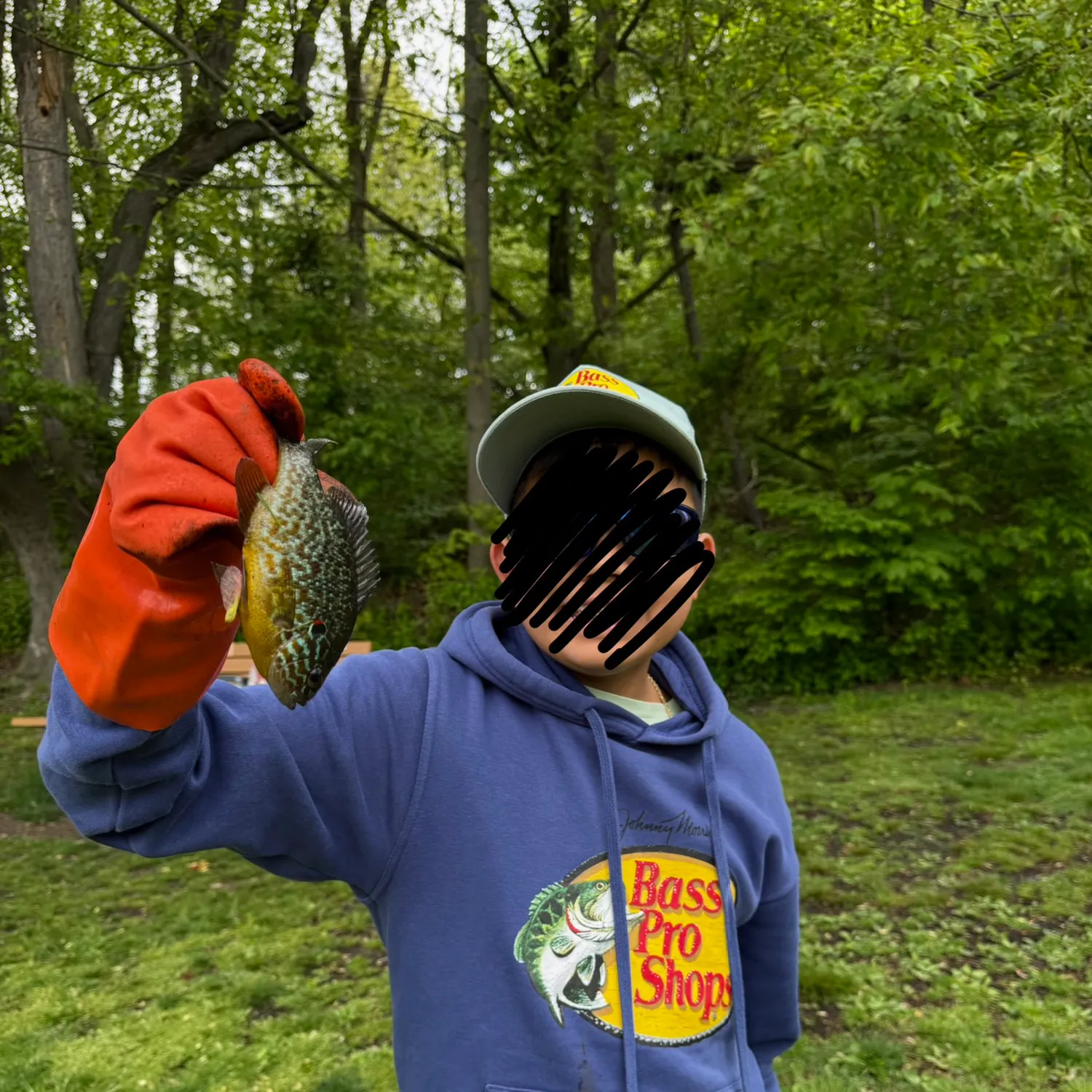 Pumpkinseed caught on Fishbrain