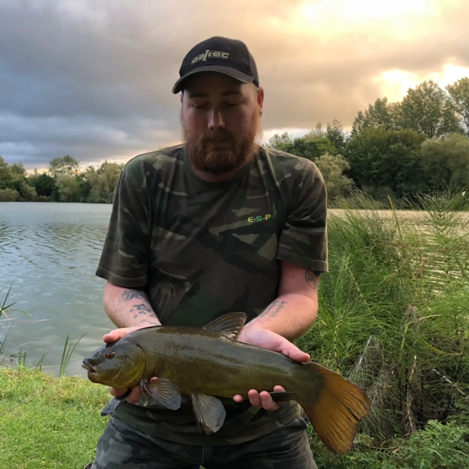 Tench caught on Fishbrain