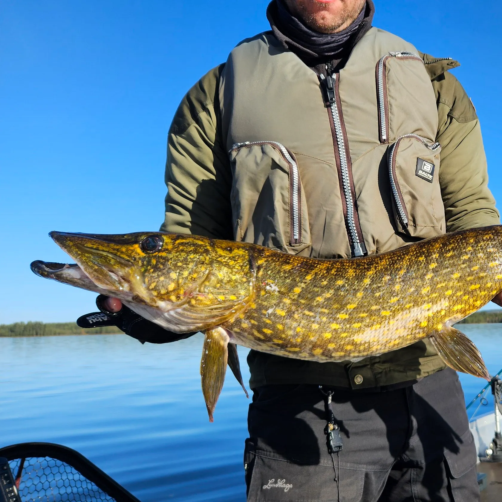Northern pike caught on Fishbrain