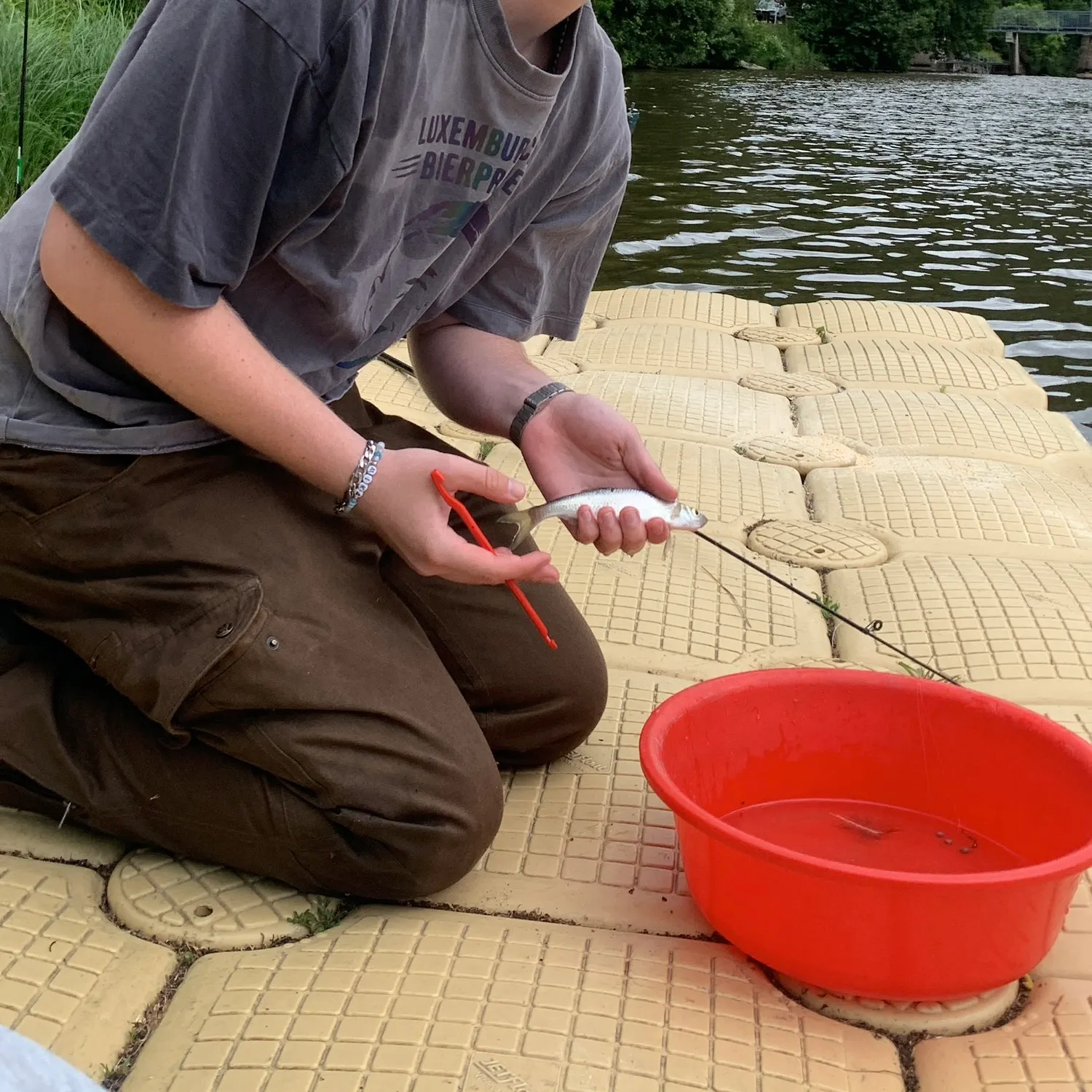 recently logged catches