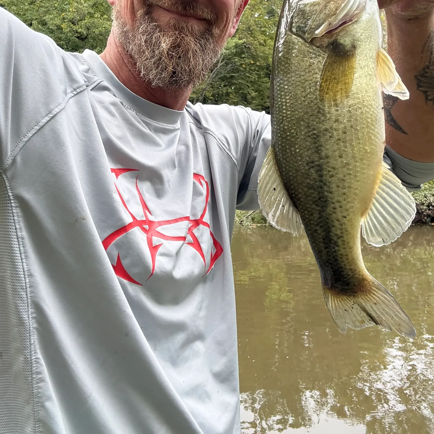 Largemouth bass caught on Fishbrain