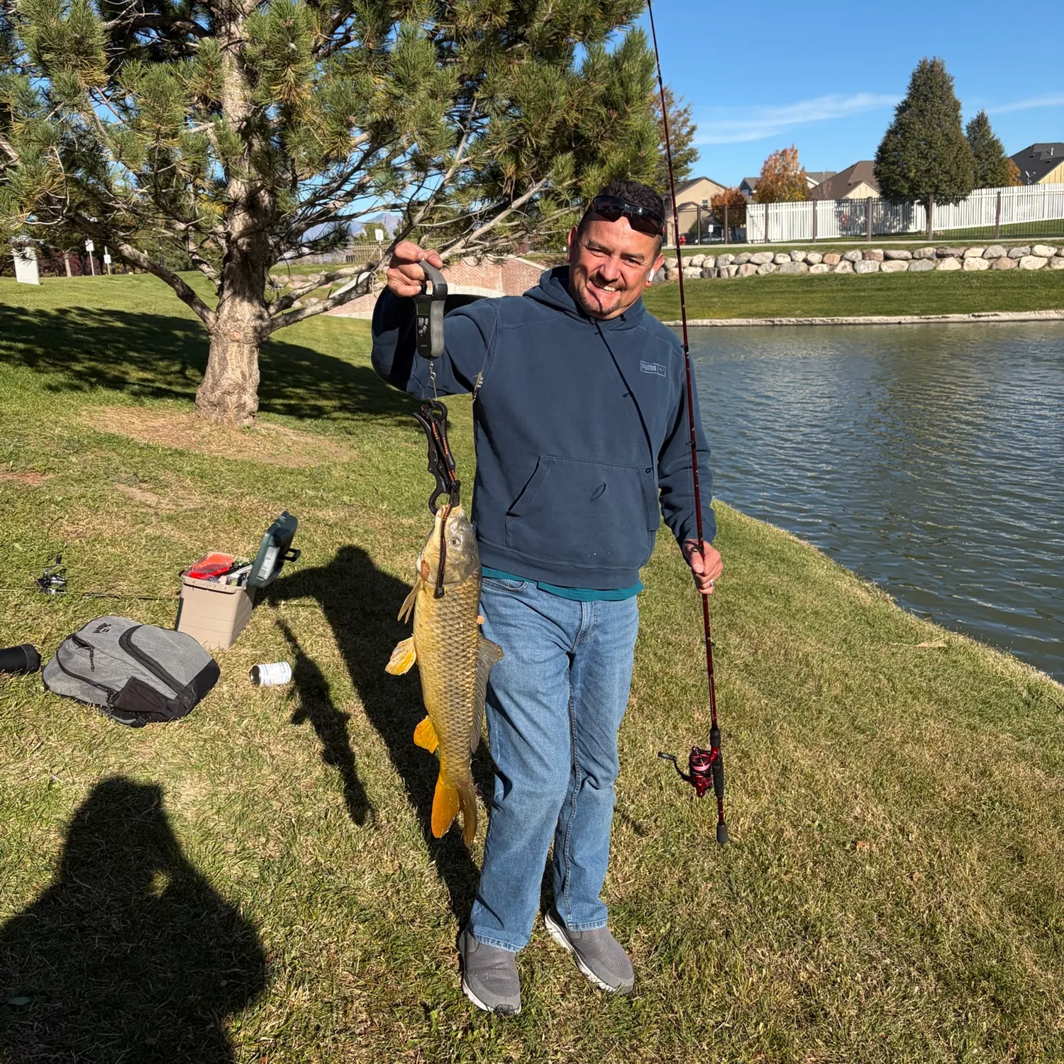 Common carp caught on Fishbrain