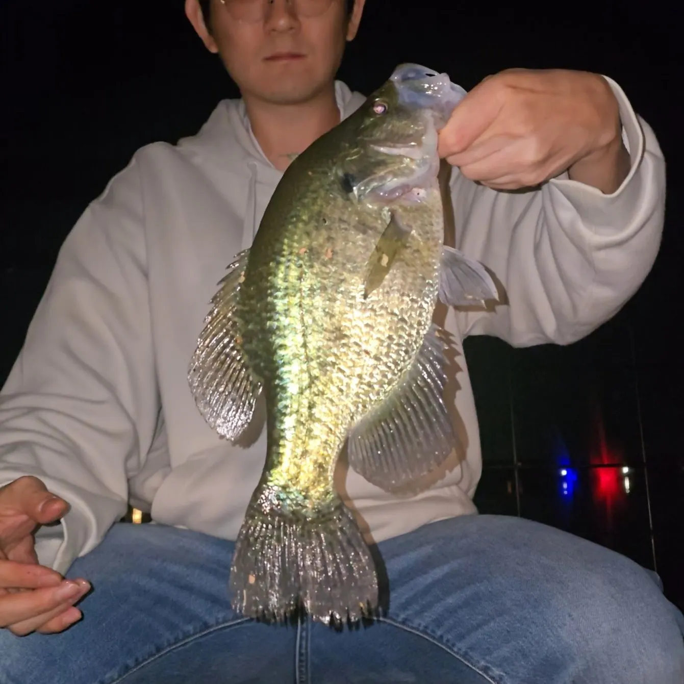 White crappie caught on Fishbrain