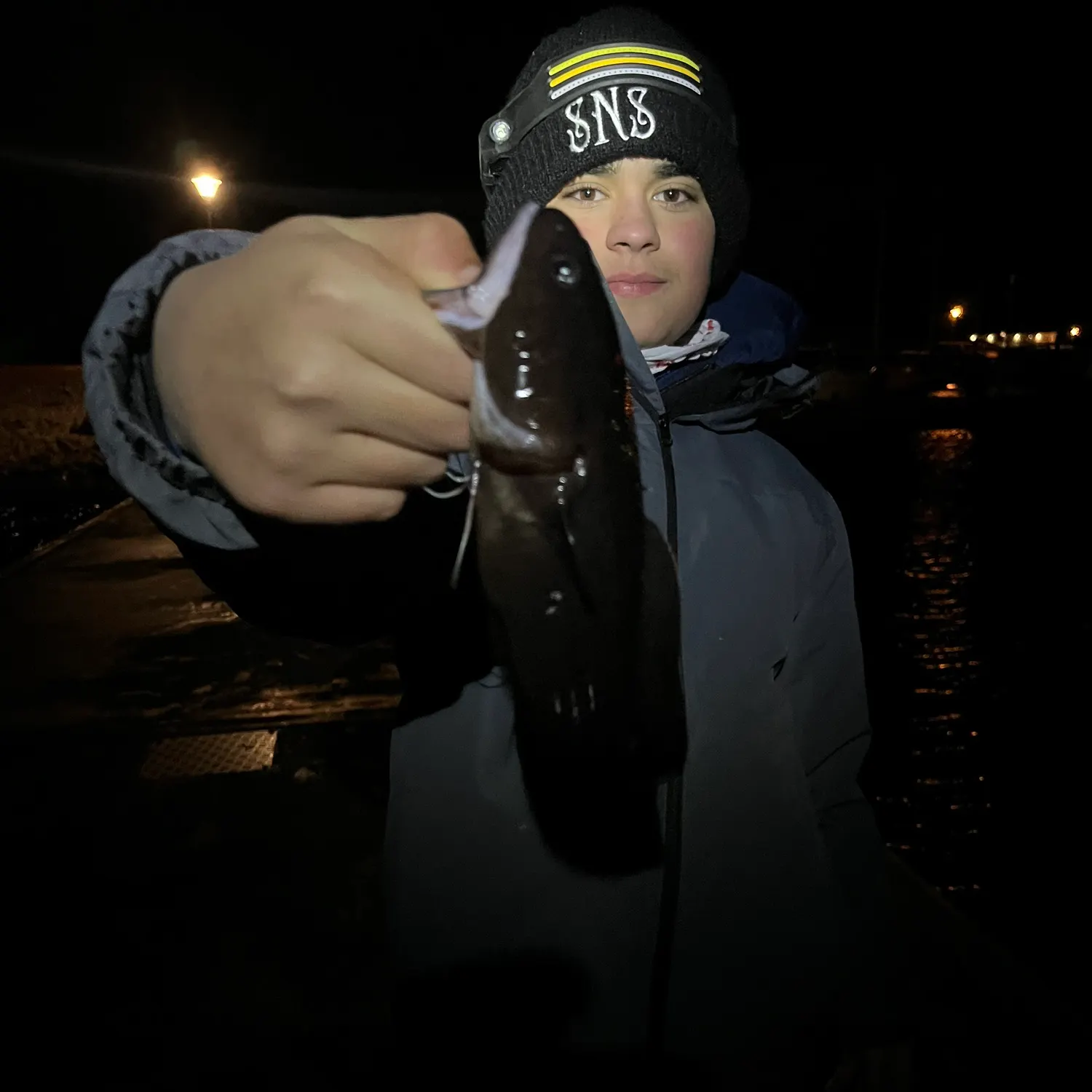 The most recent Tadpole fish catches on Fishbrain