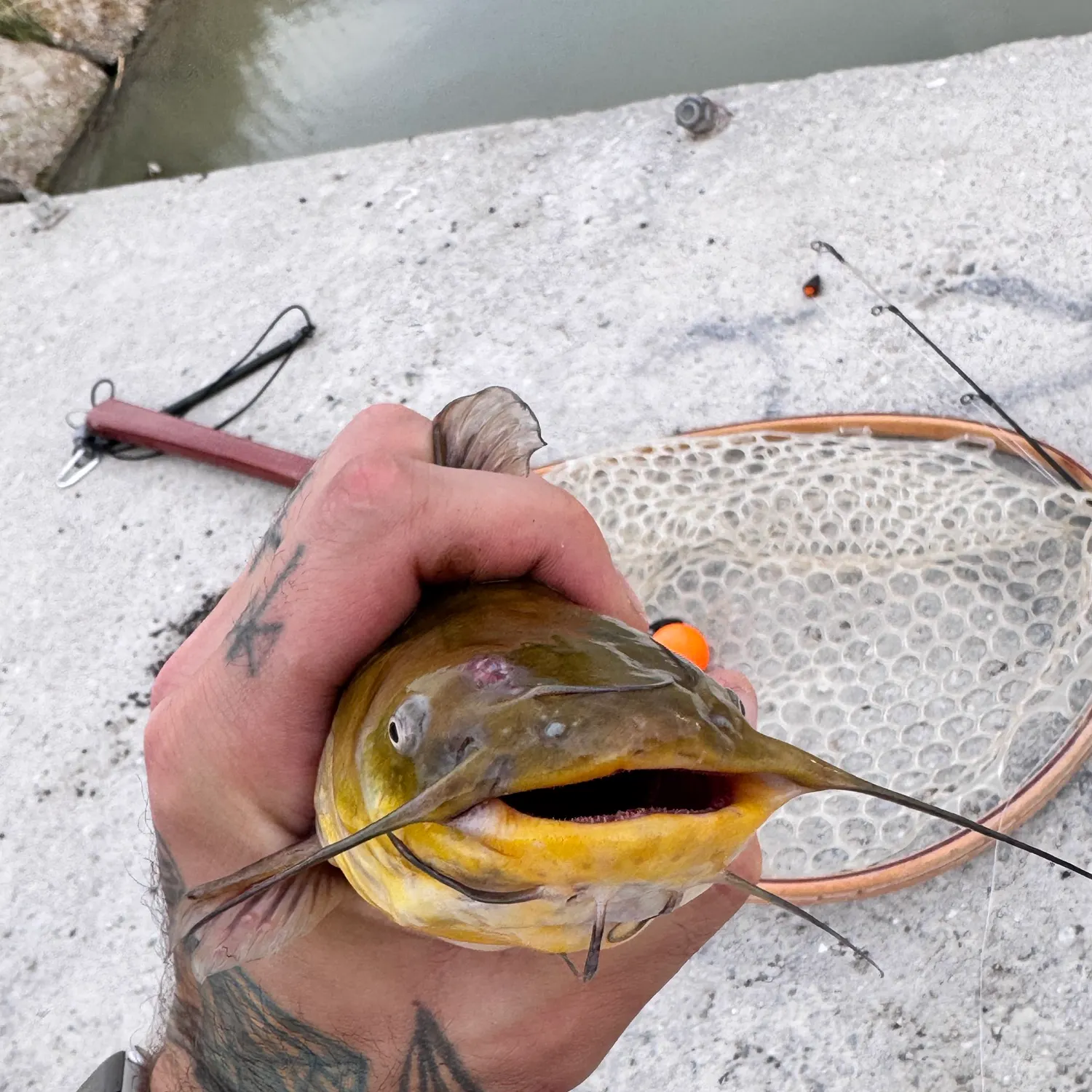 catch