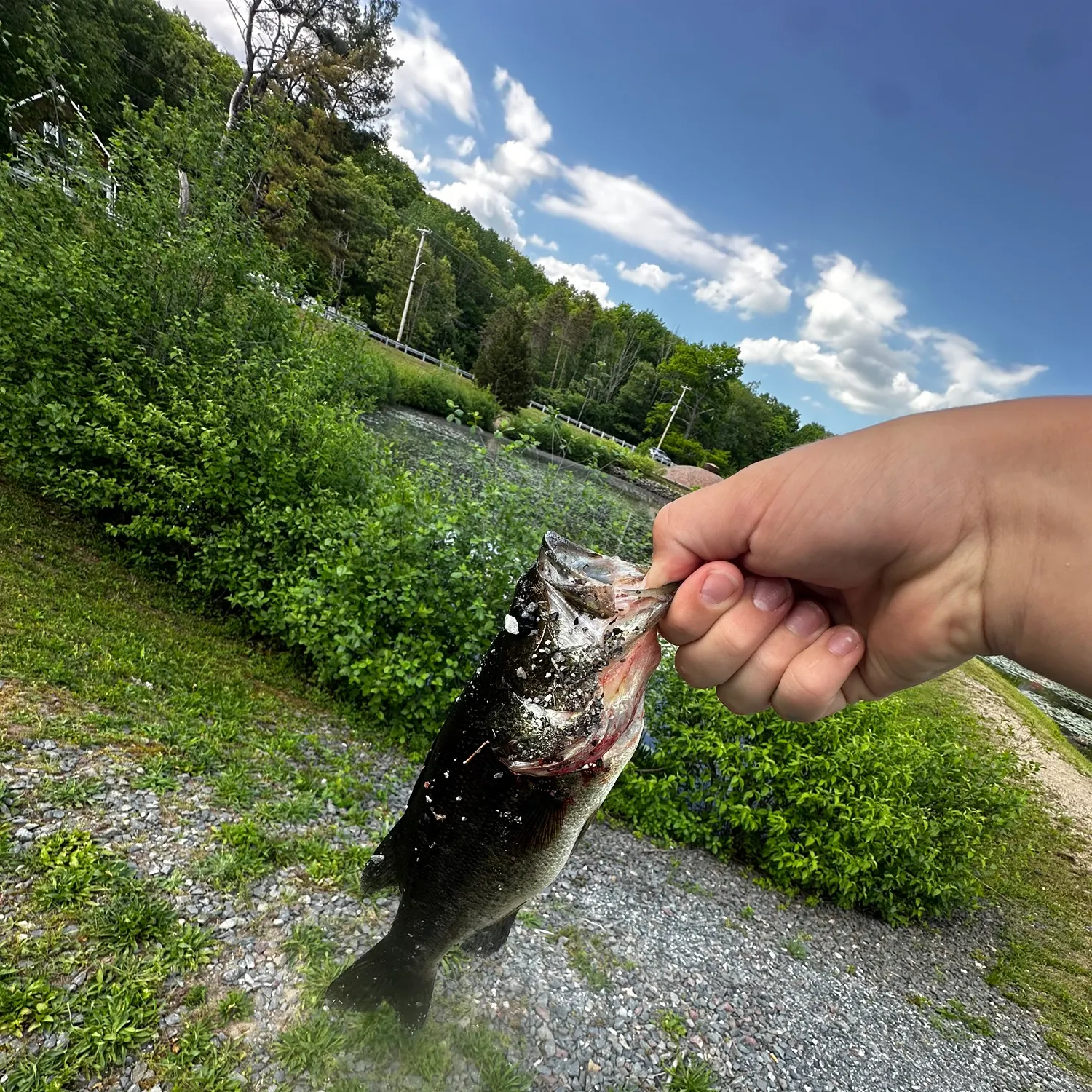 catch