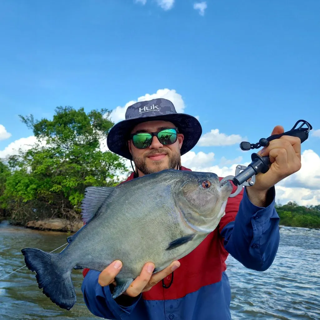most liked catch image
