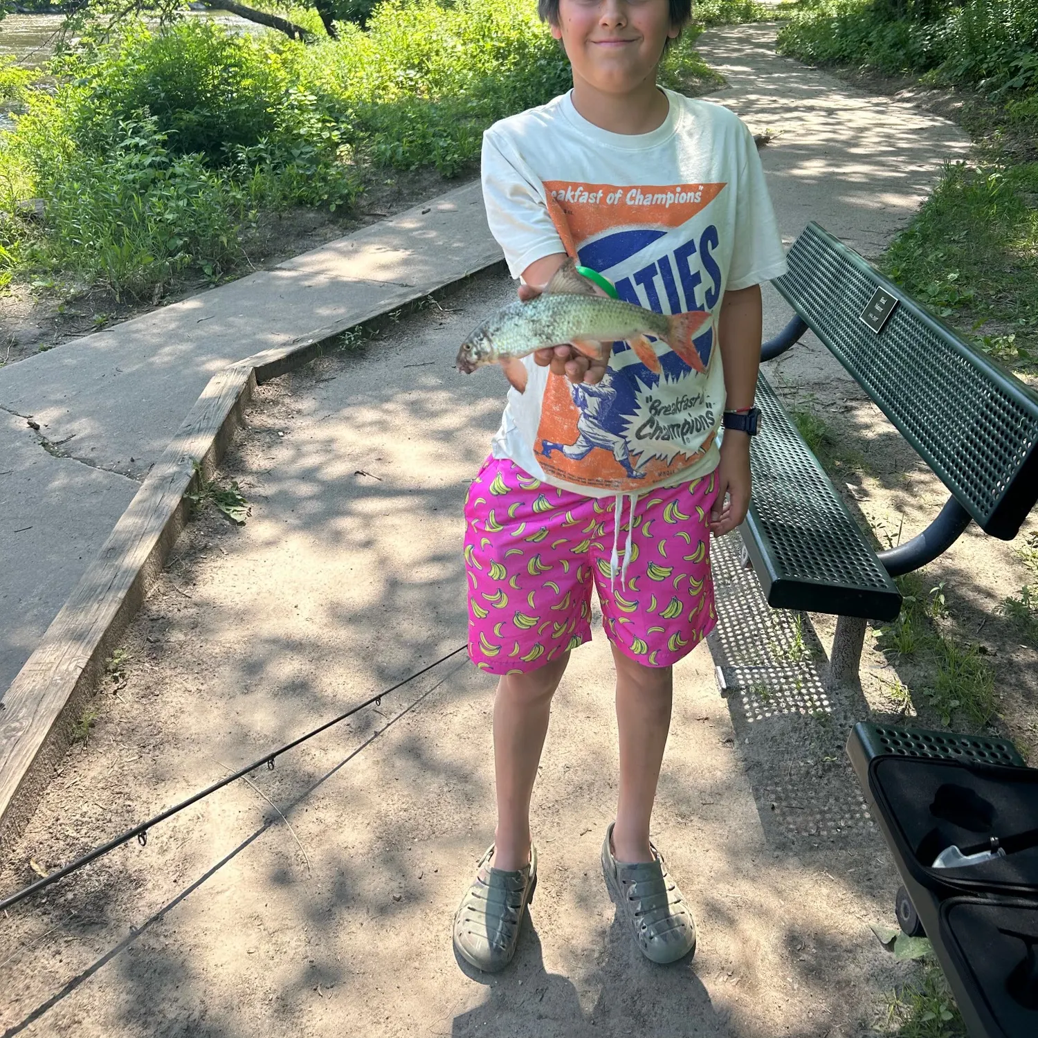 The most recent River carpsucker catches on Fishbrain