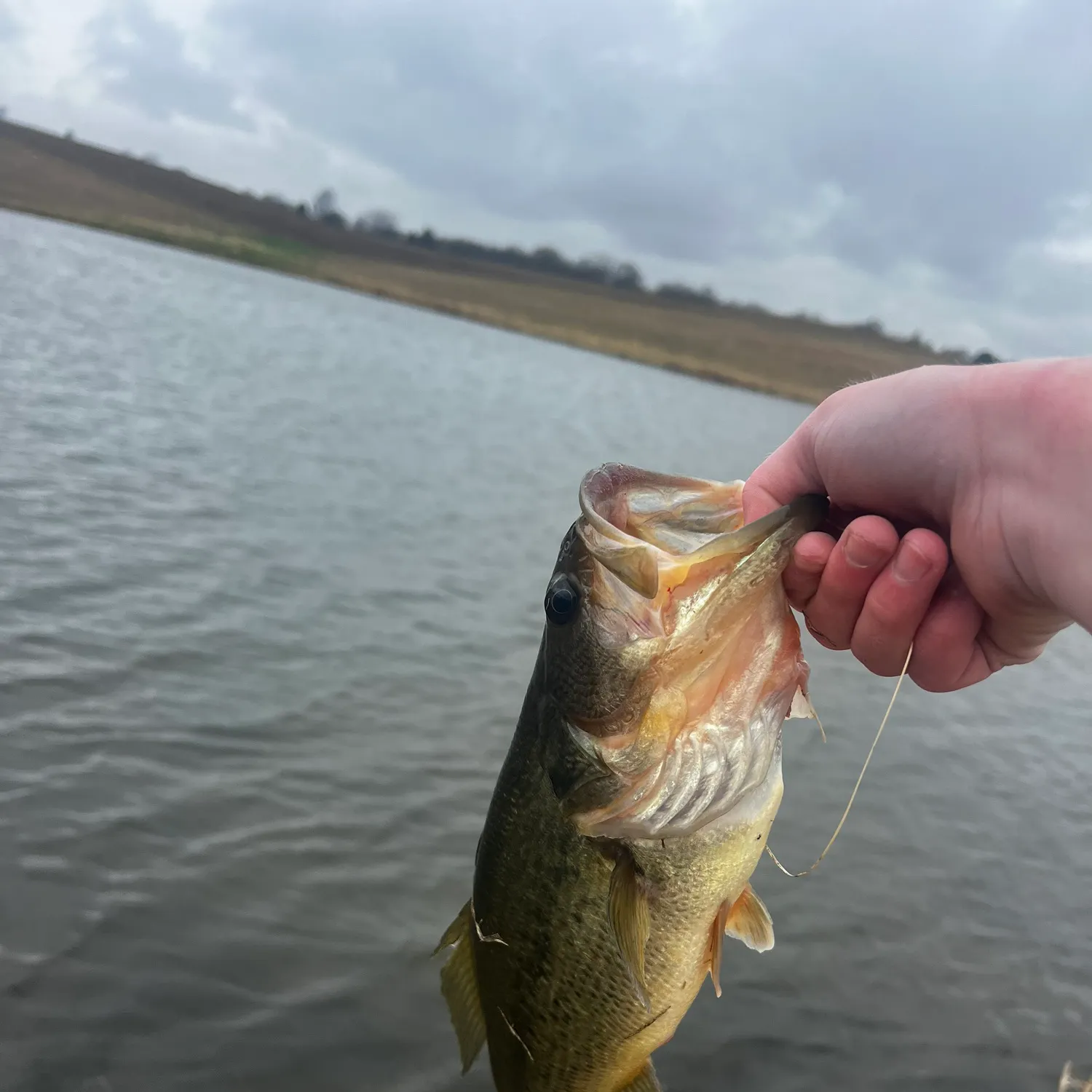 angler catch