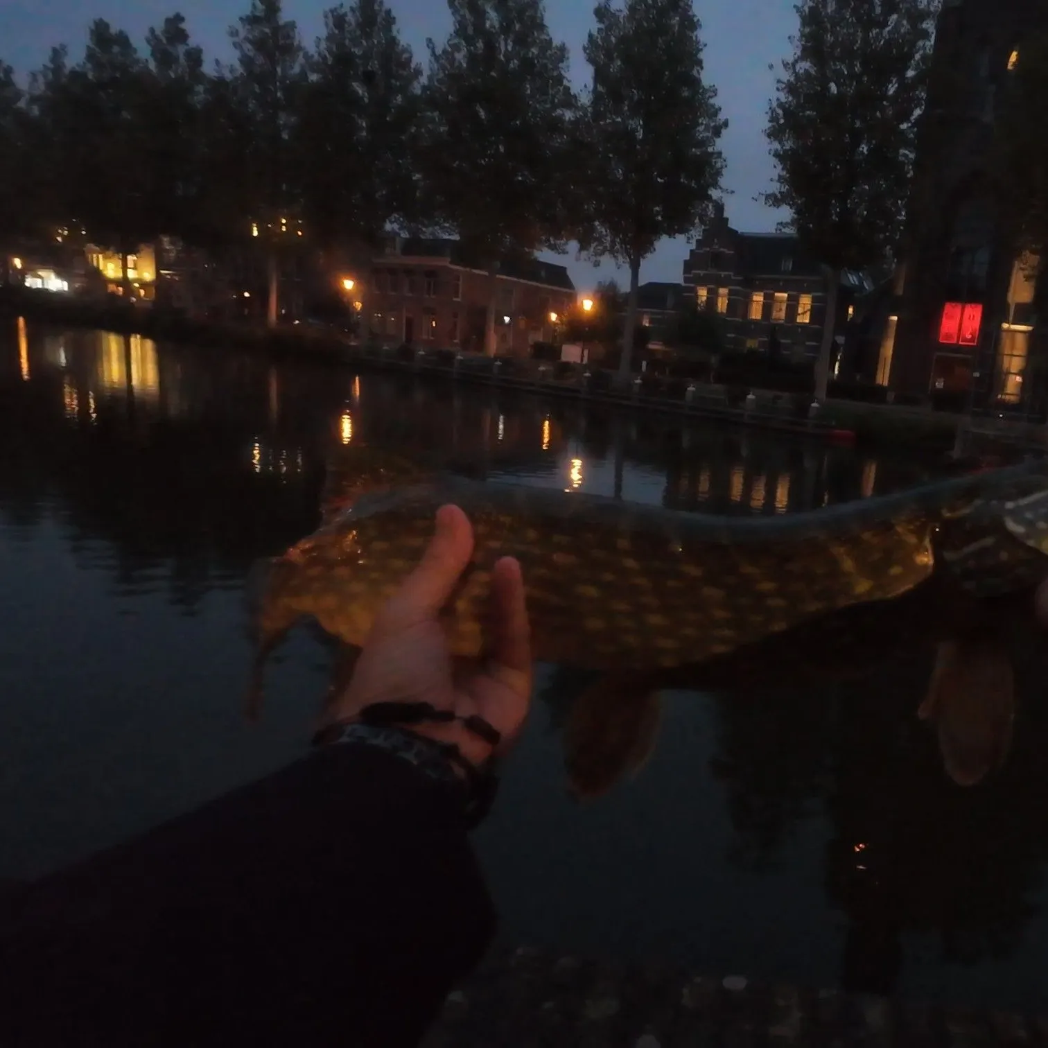catch
