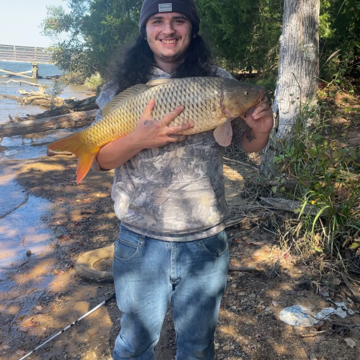 Common carp caught on Fishbrain