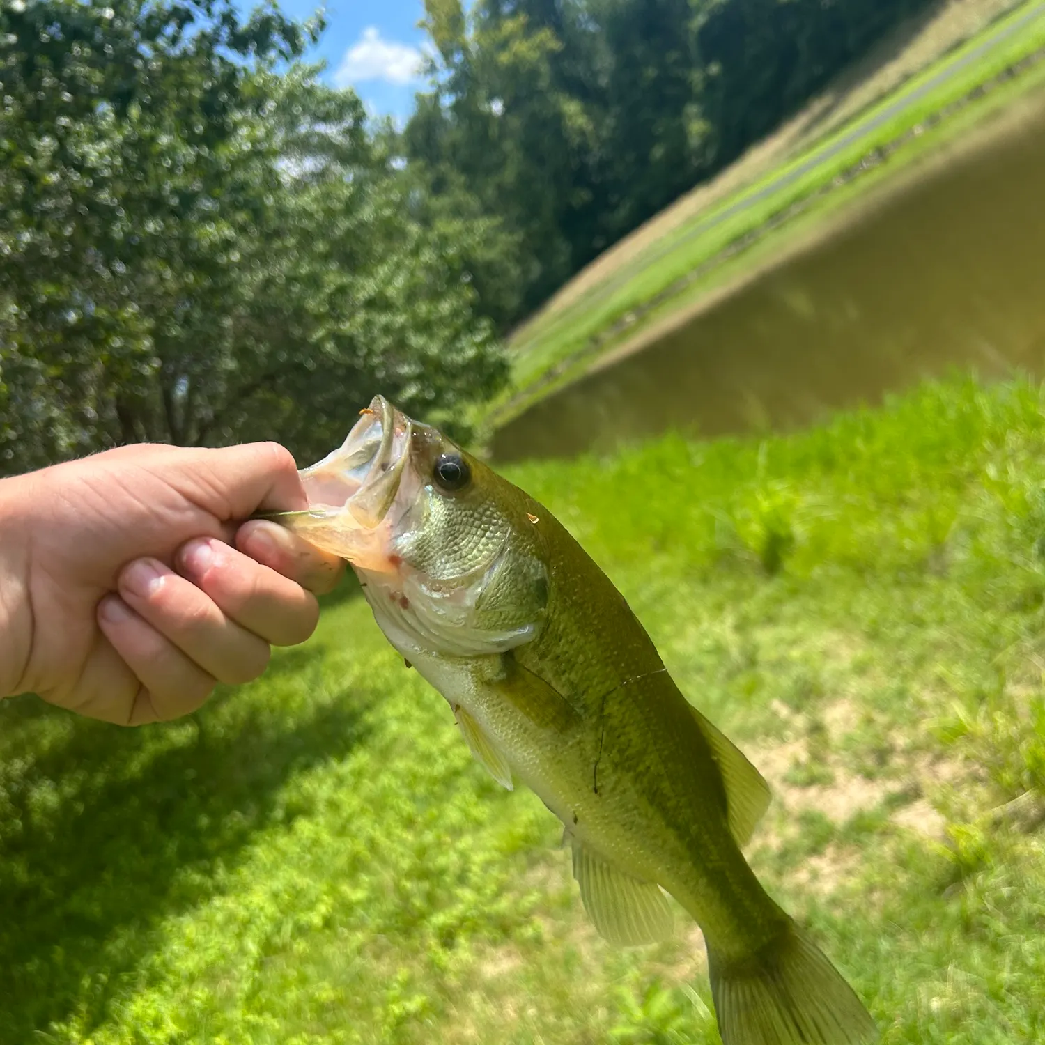 angler catch