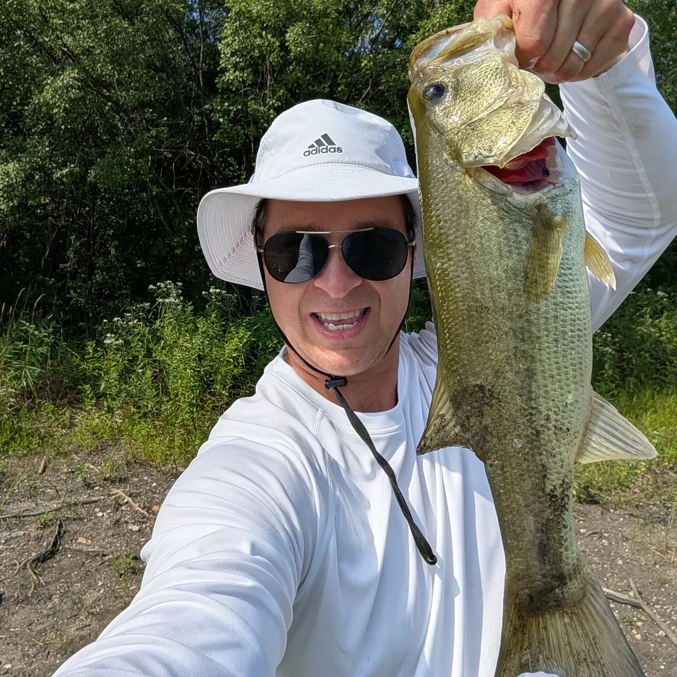 Largemouth bass caught on Fishbrain
